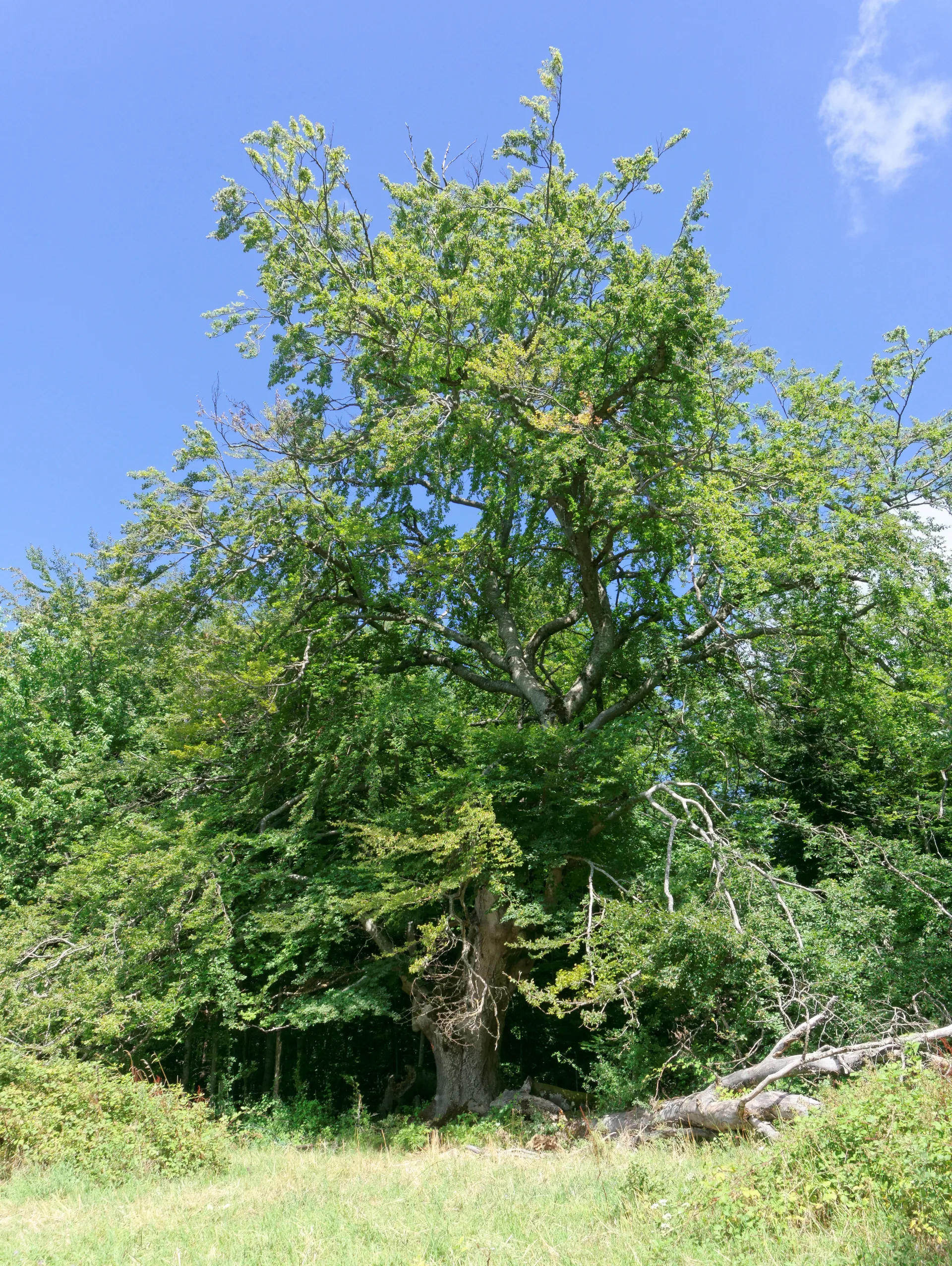 Lac de Monteynard à Treffort — À 3,0 km du lac