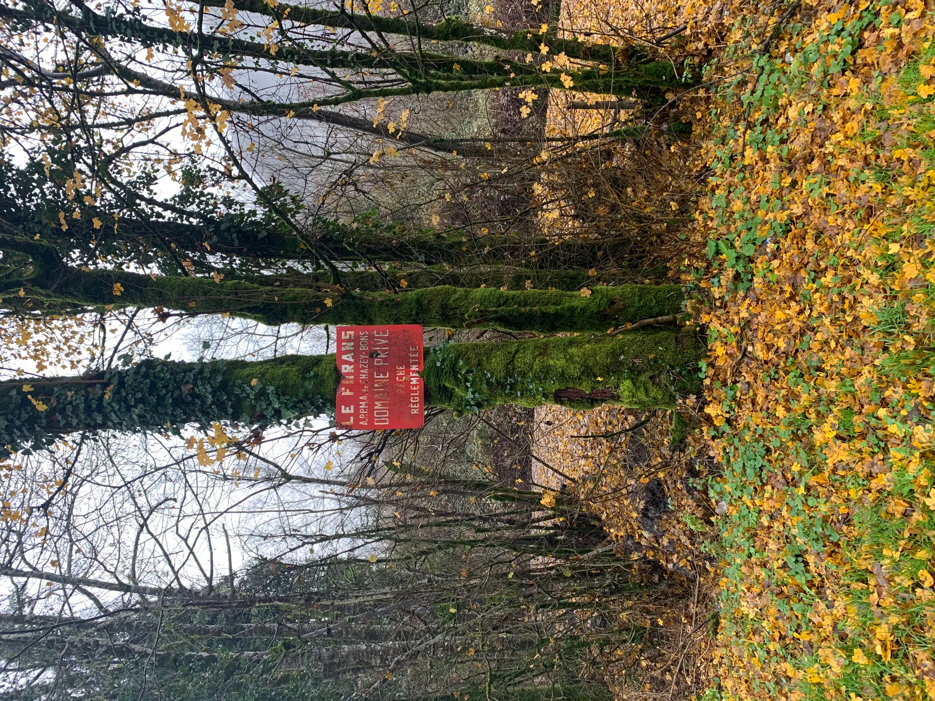 Lac de Morgnieu à Ceyzérieu — À 2,7 km du lac