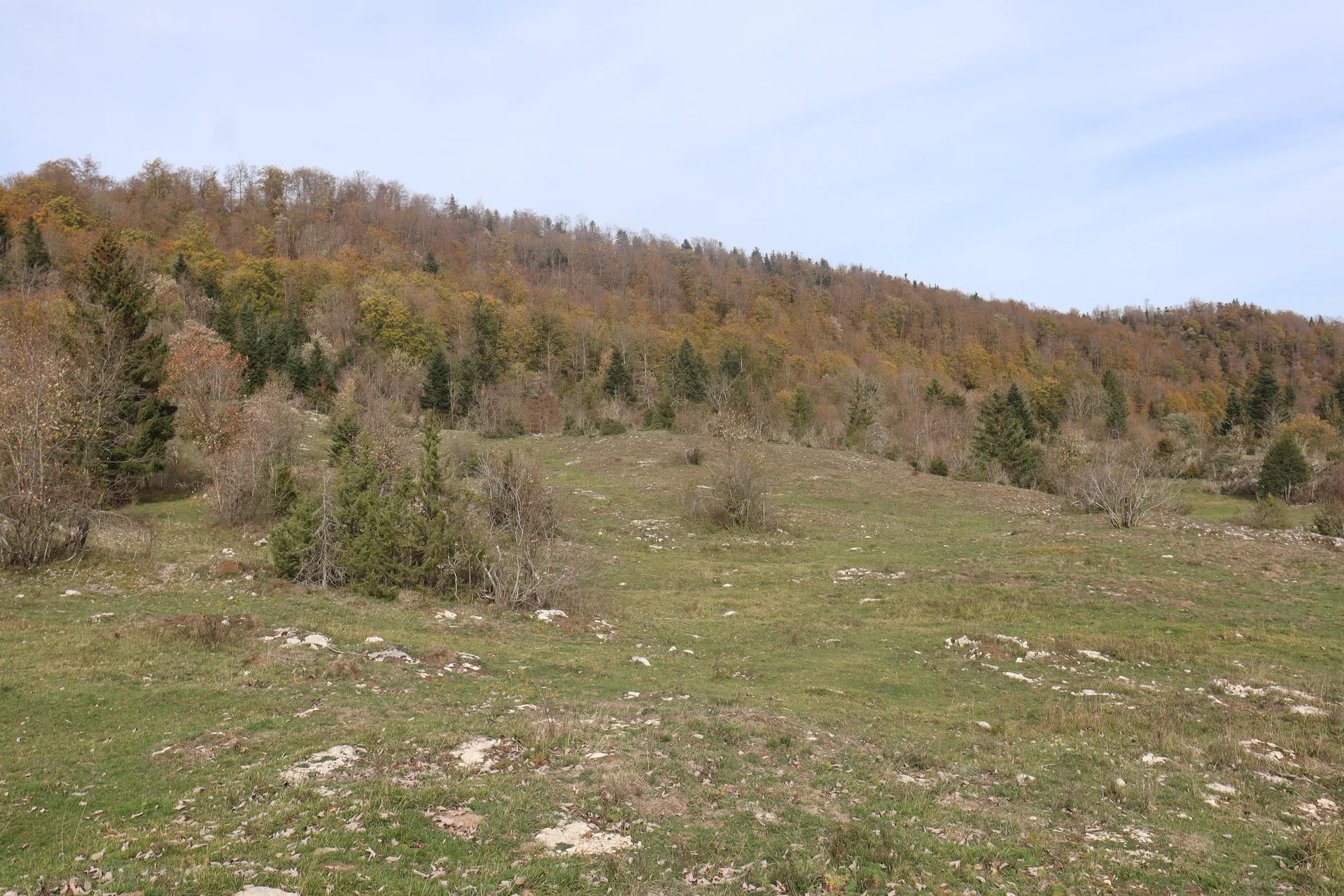 Lac de Narlay à Le Frasnois — À 3,0 km du lac