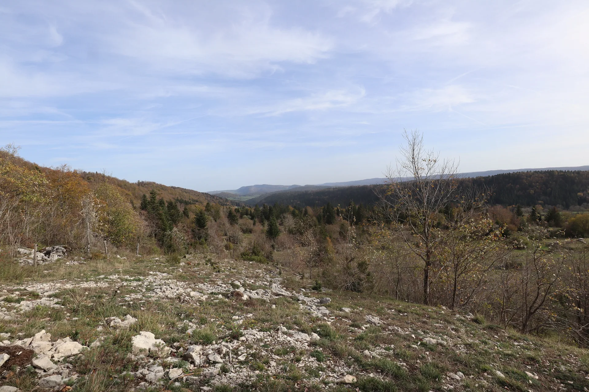 Lac de Narlay à Le Frasnois — À 3,0 km du lac
