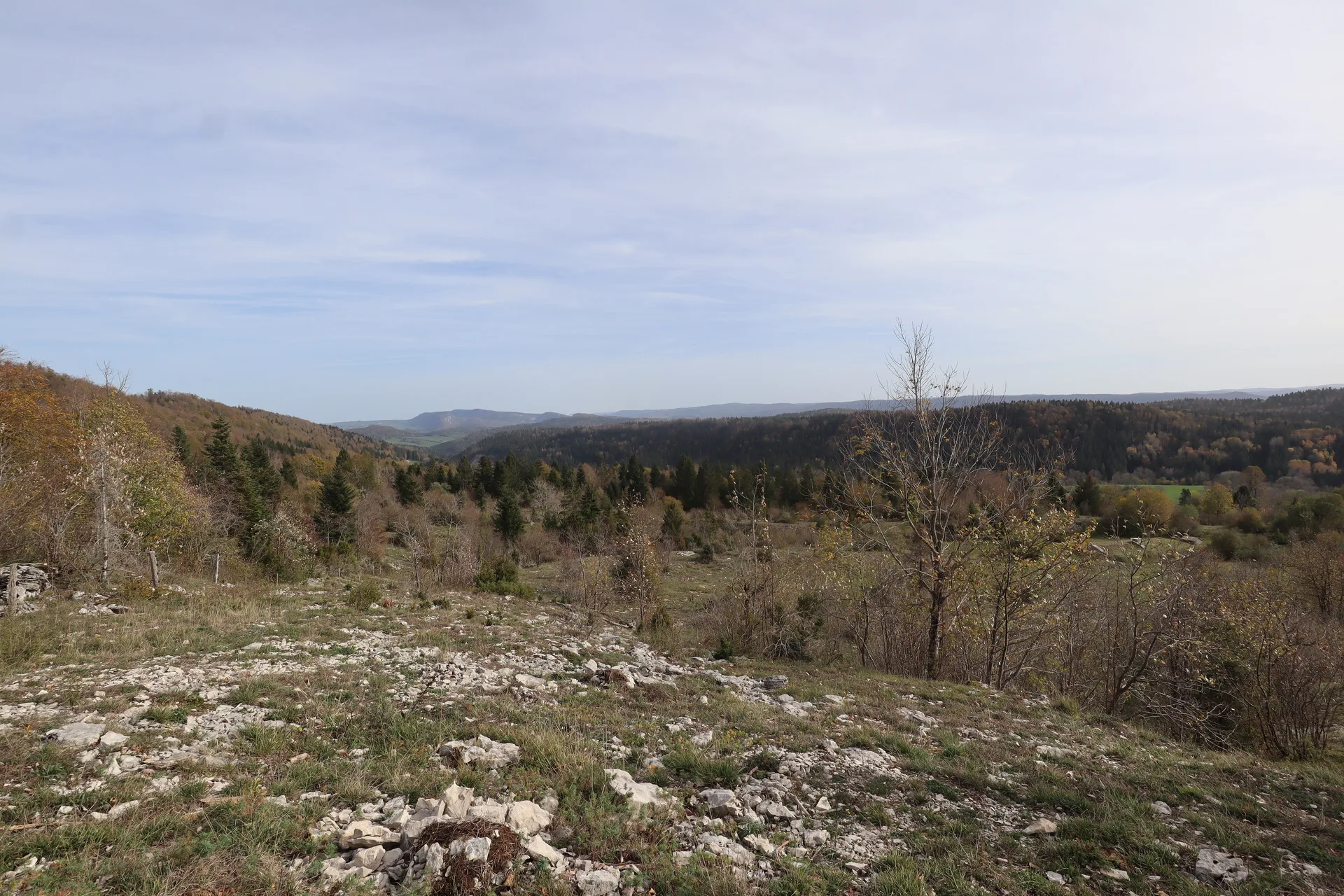 Lac de Narlay à Le Frasnois — À 3,0 km du lac
