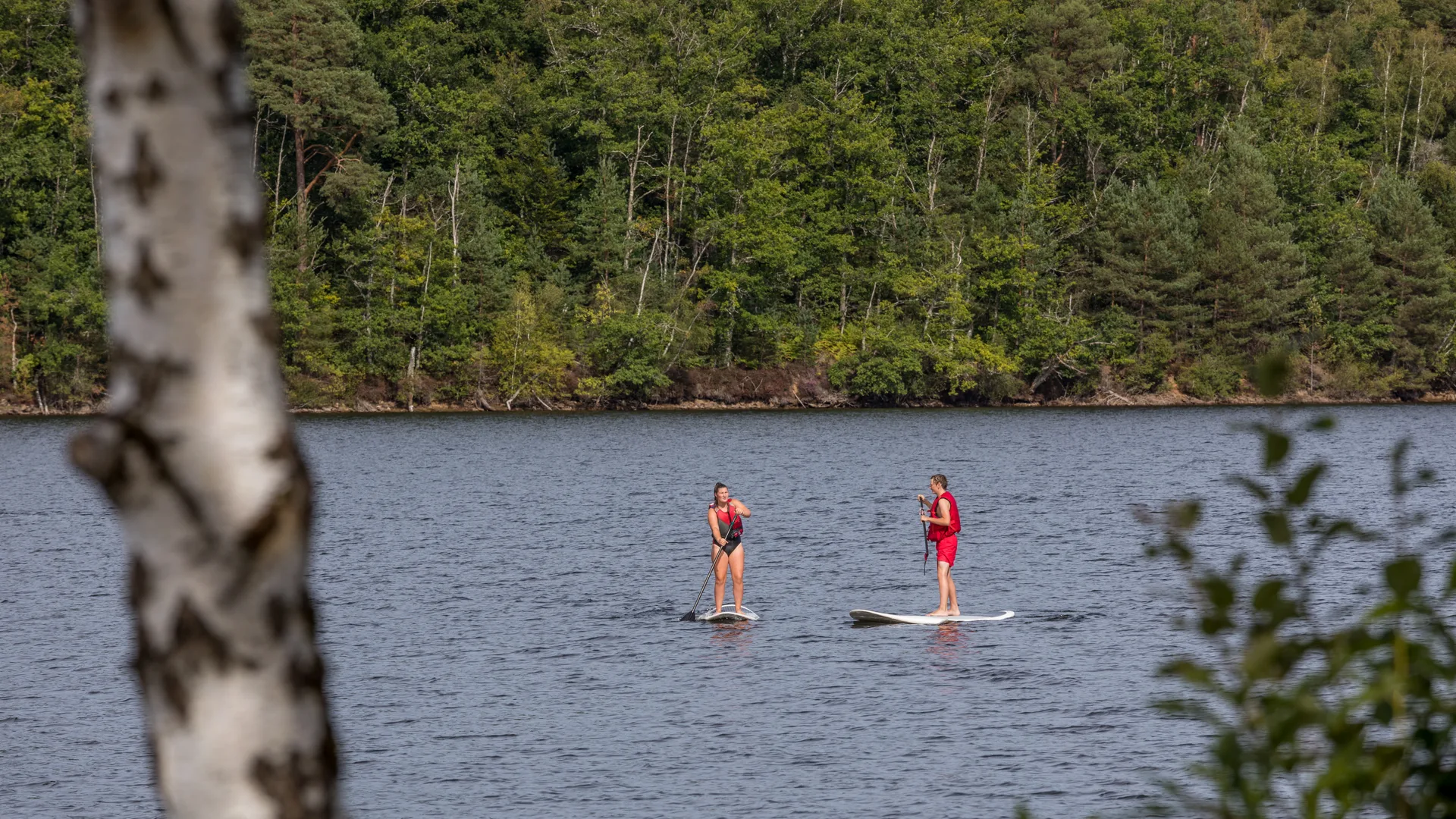 Lac de Neuvic à Neuvic — À 488 m du lac