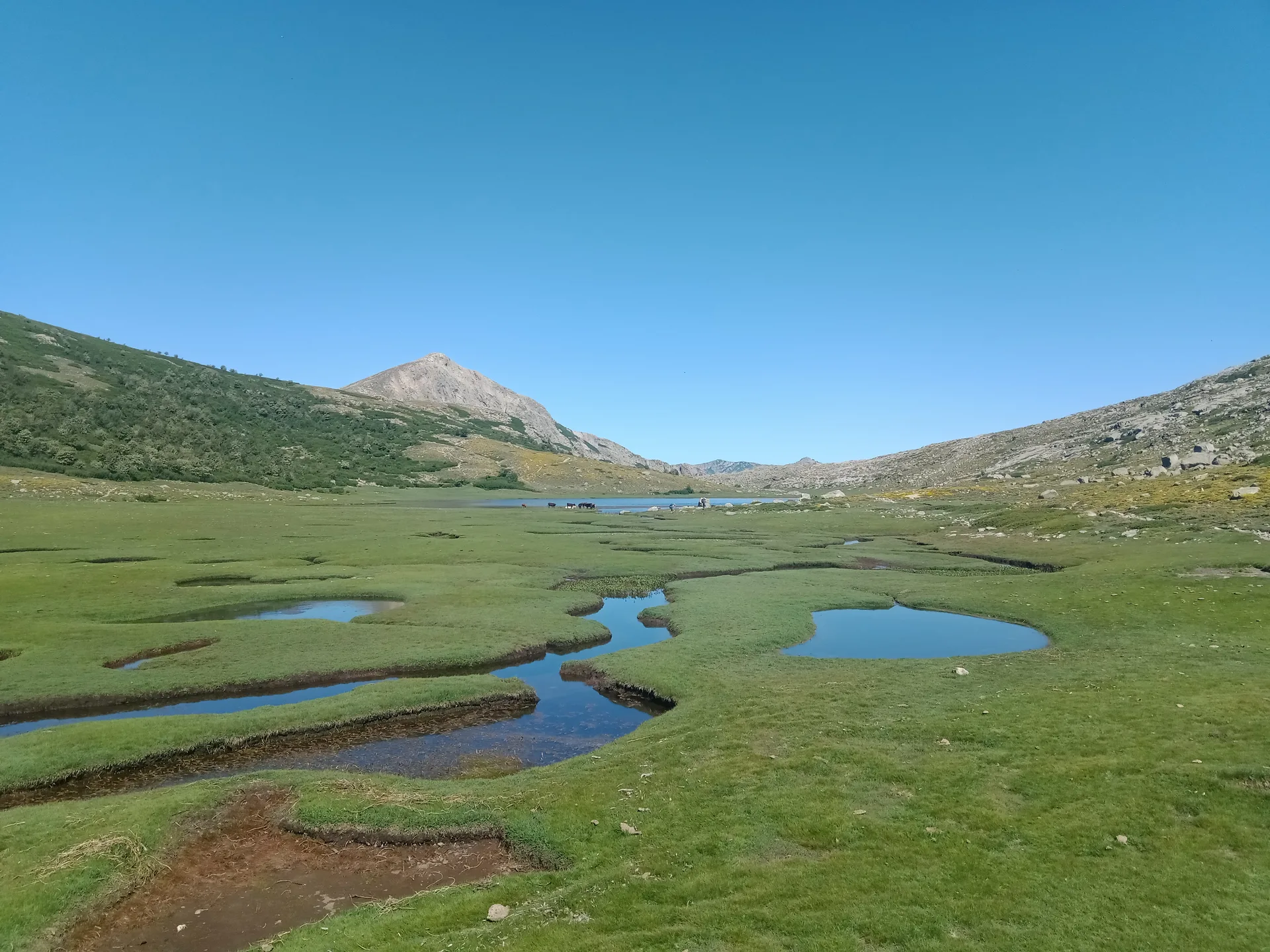 Lac de Nino à Corte — À 383 m du lac