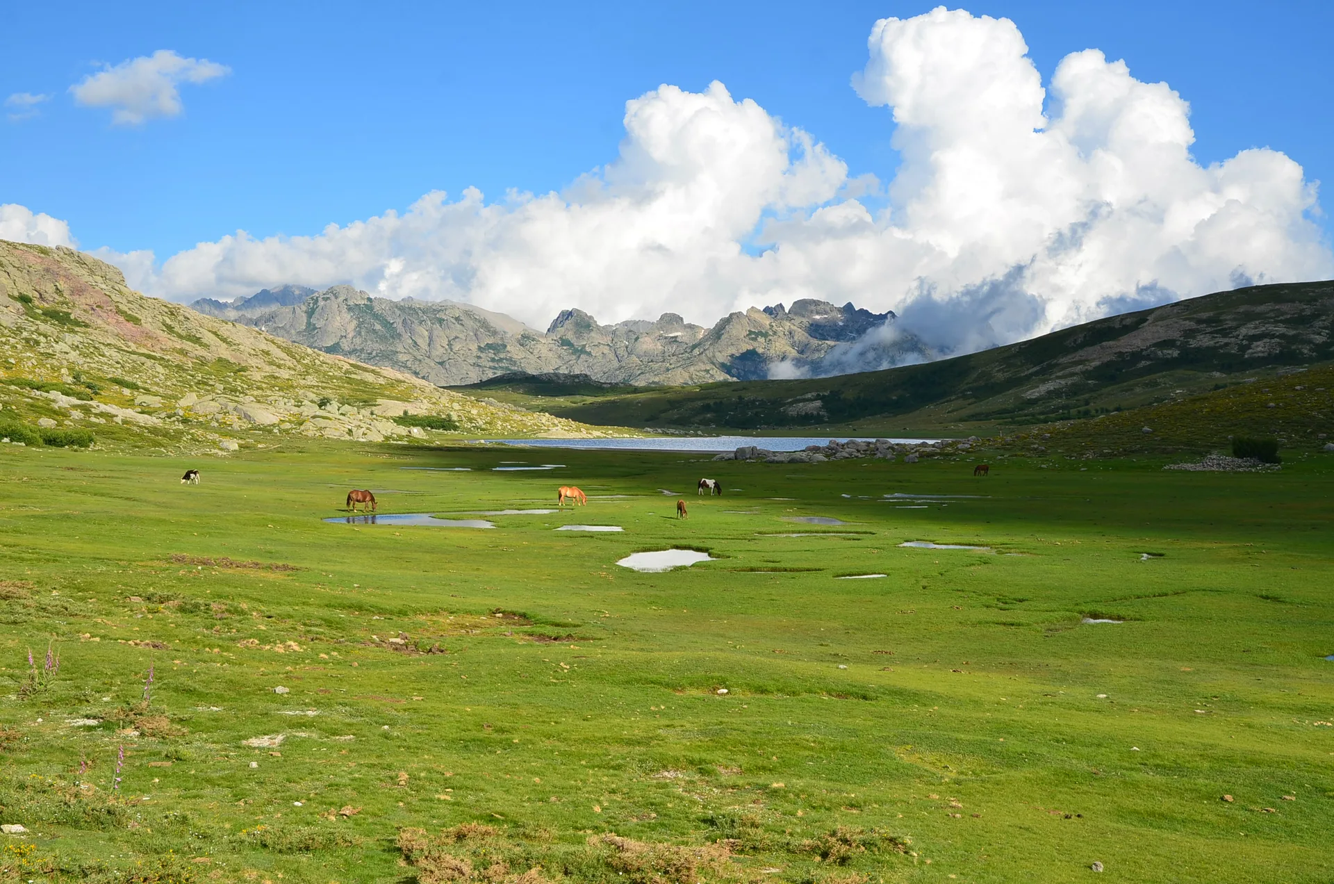 Lac de Nino à Corte — À 525 m du lac