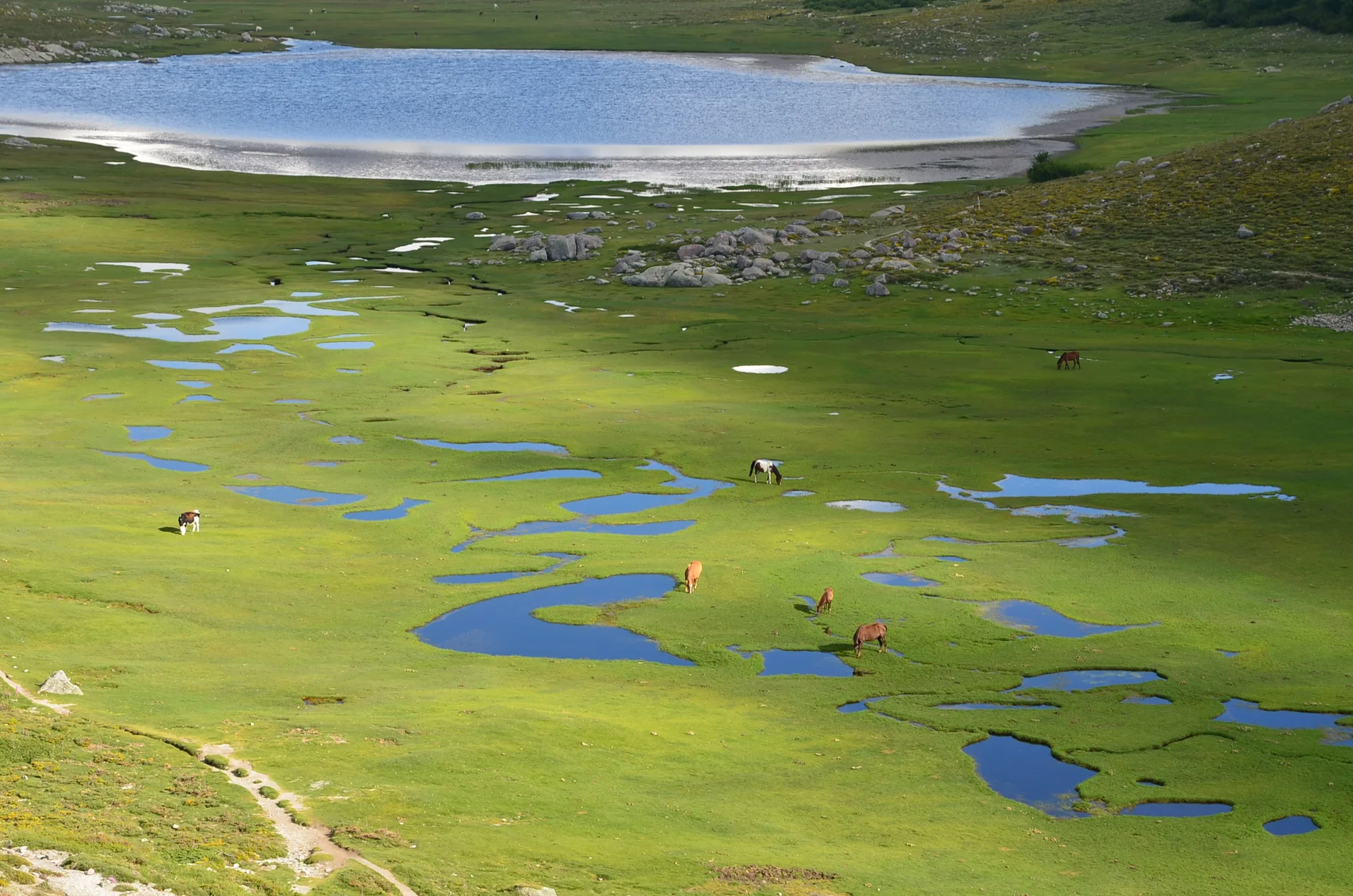 Lac de Nino à Corte — À 599 m du lac