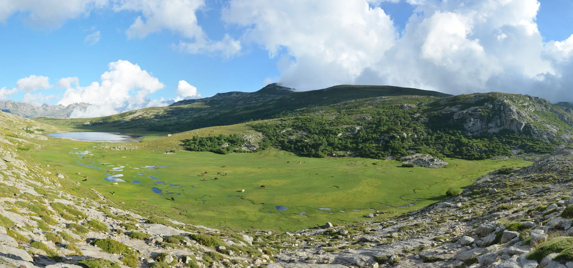 Lac de Nino à Corte — À 631 m du lac