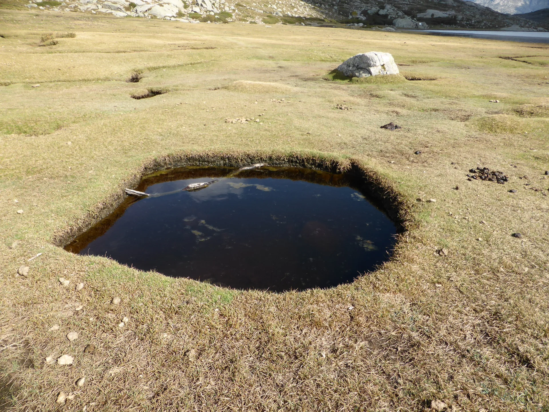 Lac de Nino à Corte — À 230 m du lac