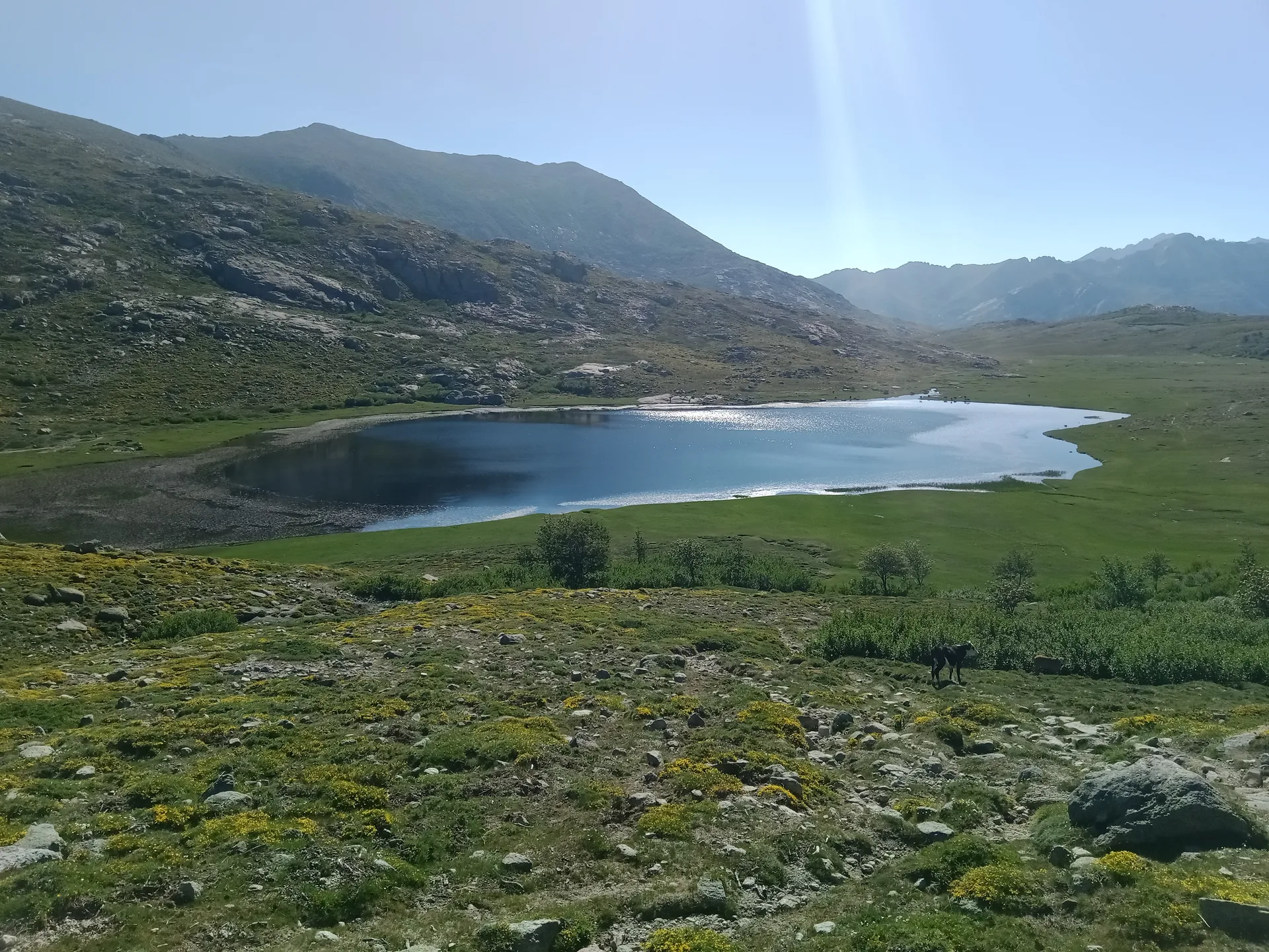 Lac de Nino à Corte — À 279 m du lac