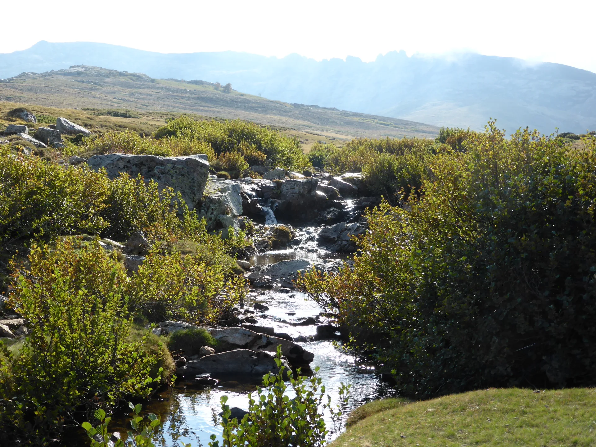 Lac de Nino à Corte — À 1,4 km du lac