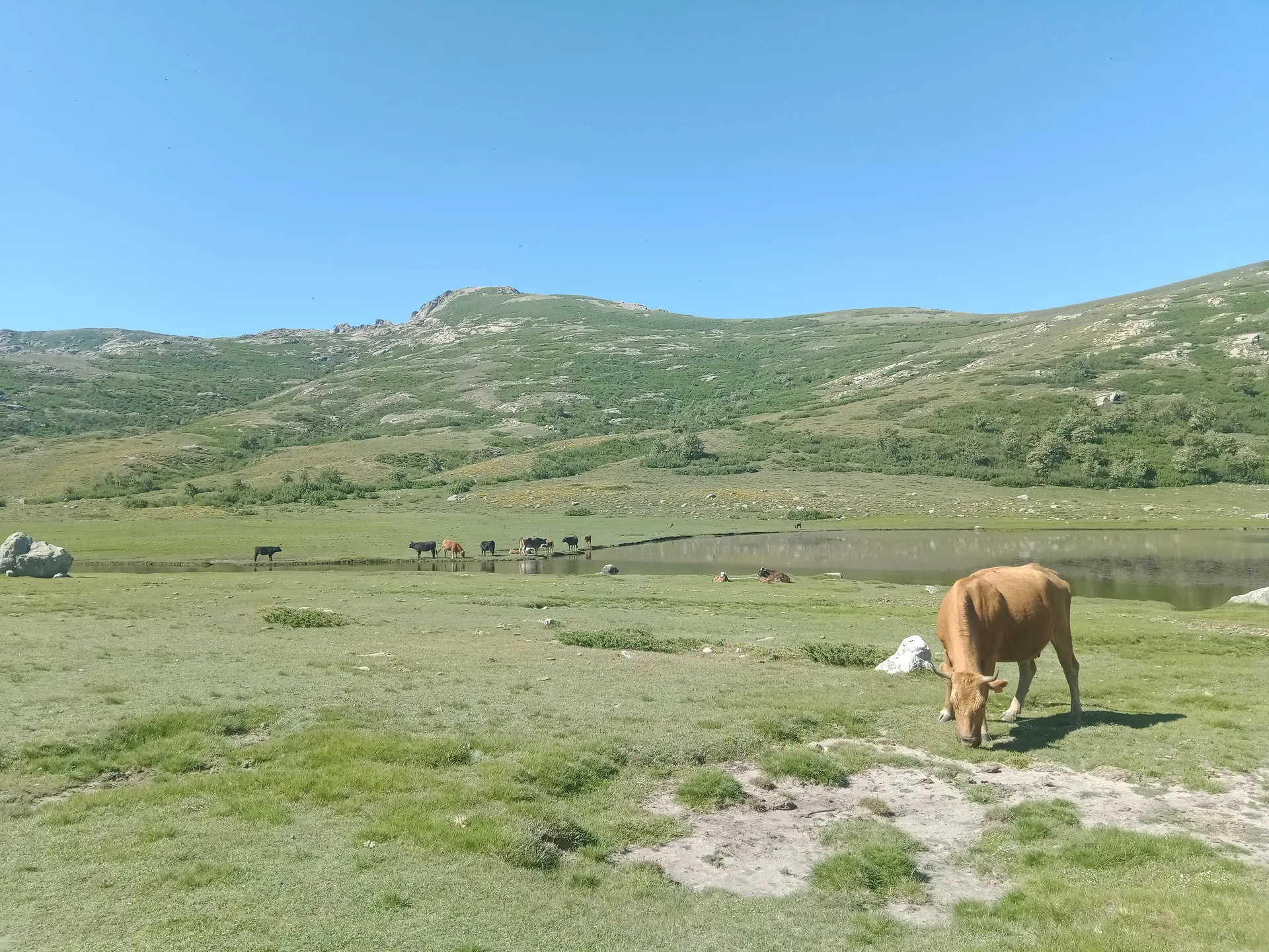 Lac de Nino à Corte — Sur le lac
