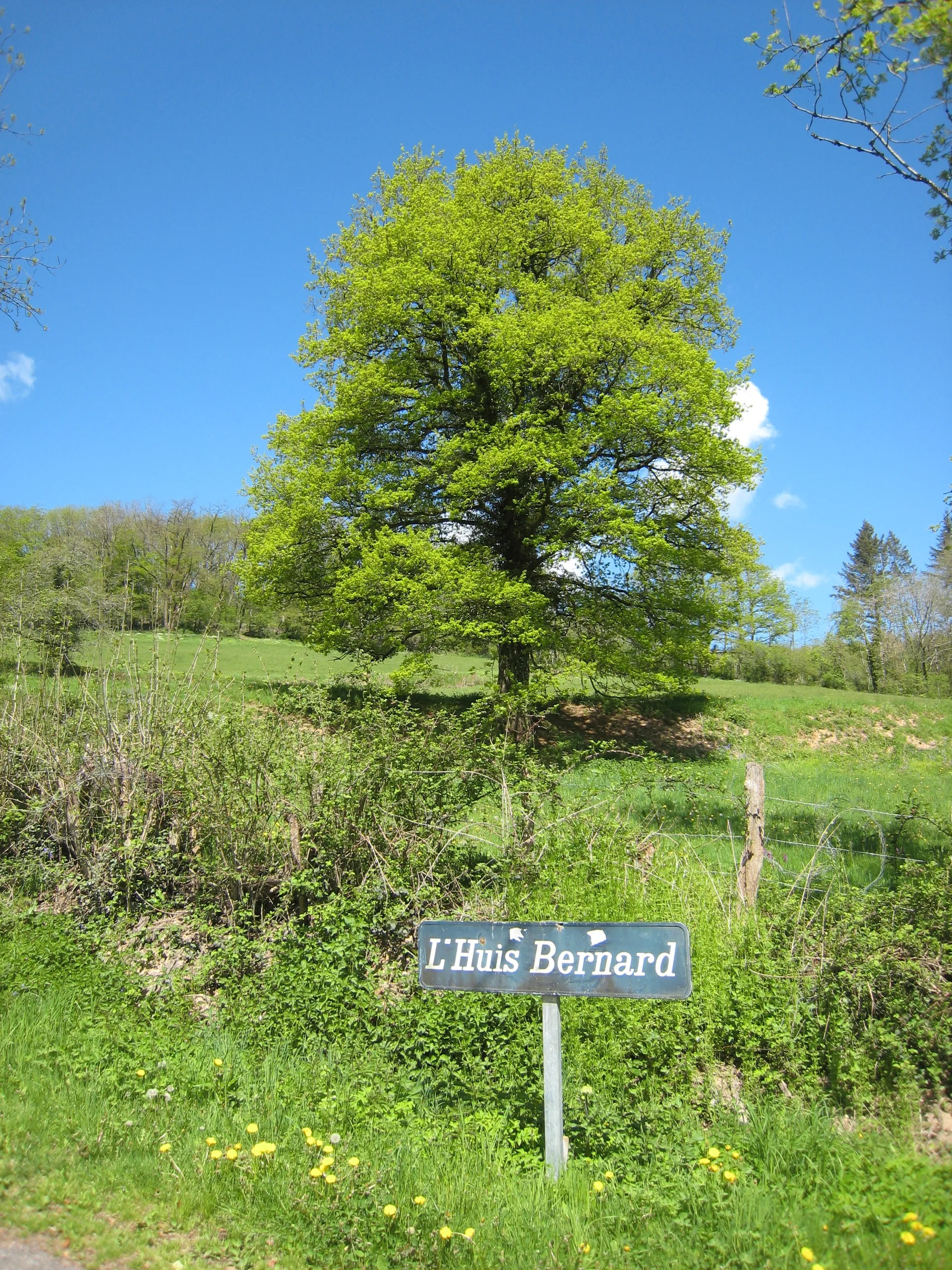 Lac de Pannecière à Chaumard — À 2,0 km du lac