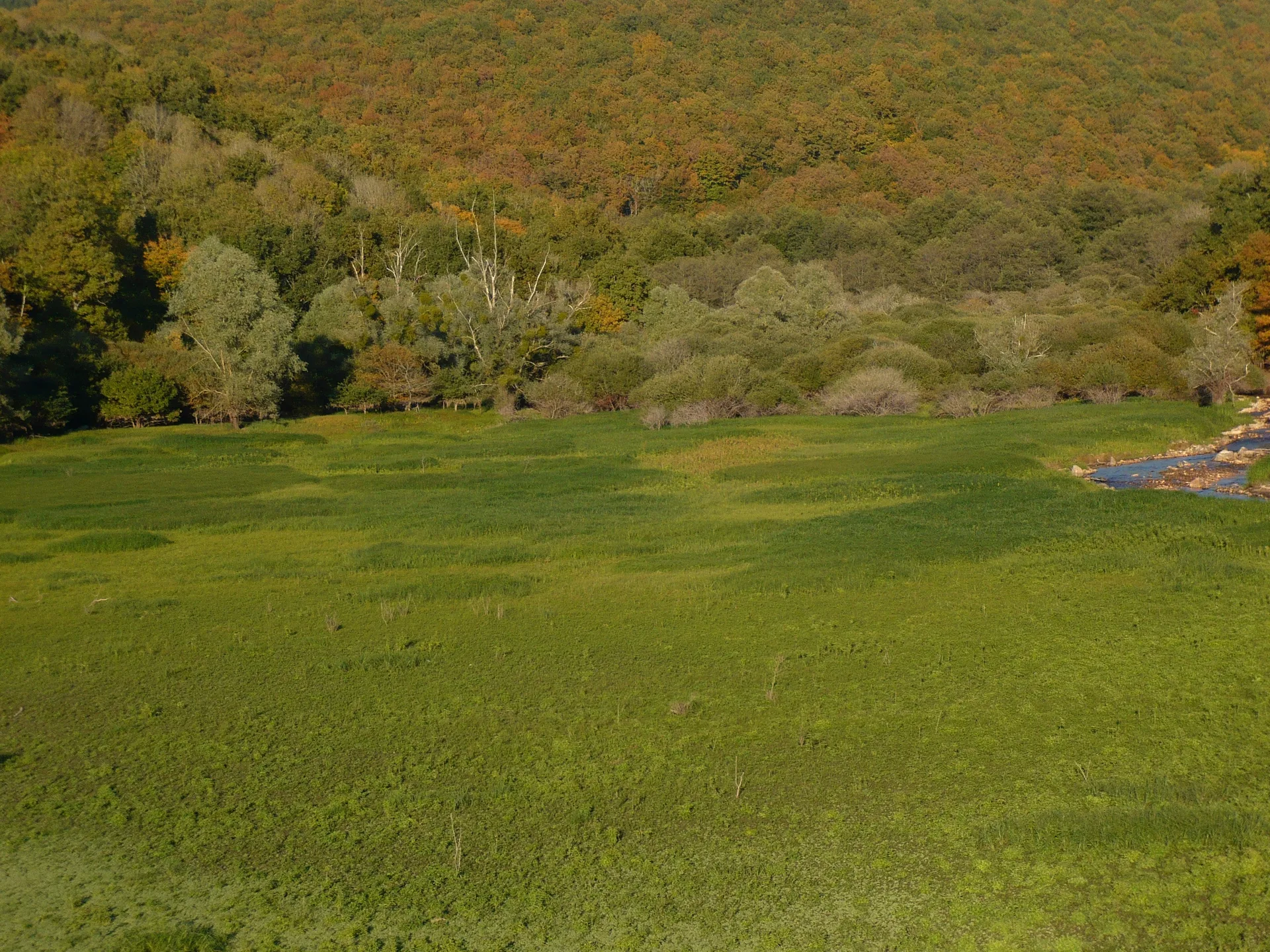 Lac de Pannecière à Chaumard — À 2,8 km du lac