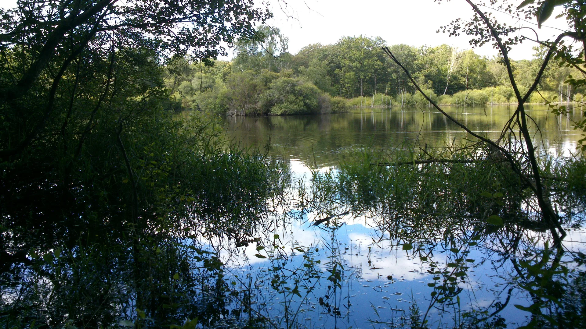 Lac de Peronne à Chanteloup-les-Bois — À 4,1 km du lac