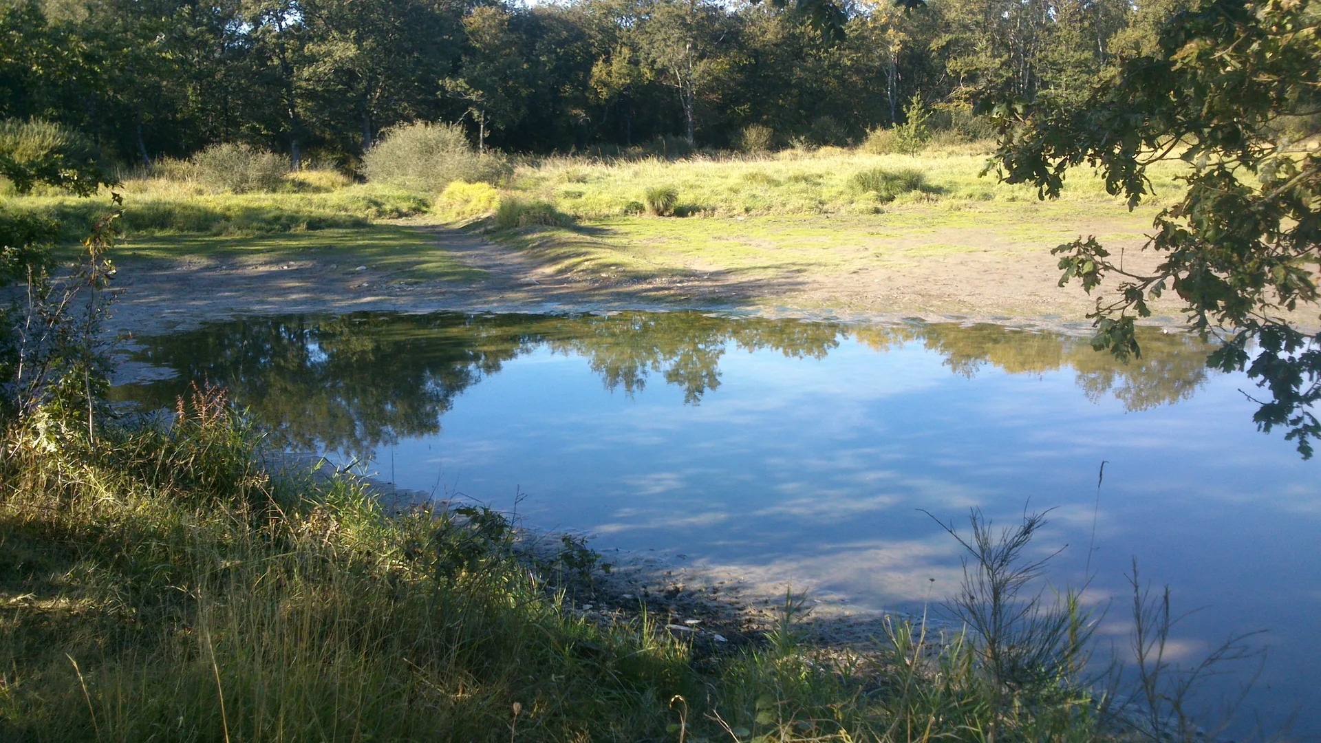 Lac de Peronne à Chanteloup-les-Bois — À 855 m du lac