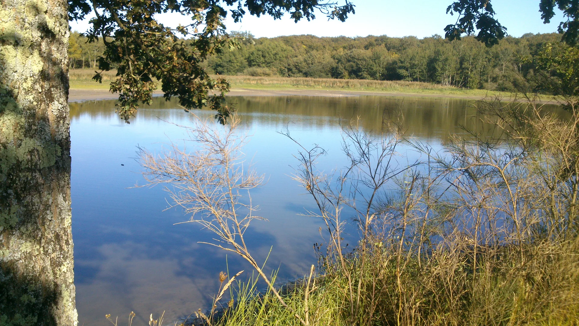 Lac de Peronne à Chanteloup-les-Bois — À 855 m du lac