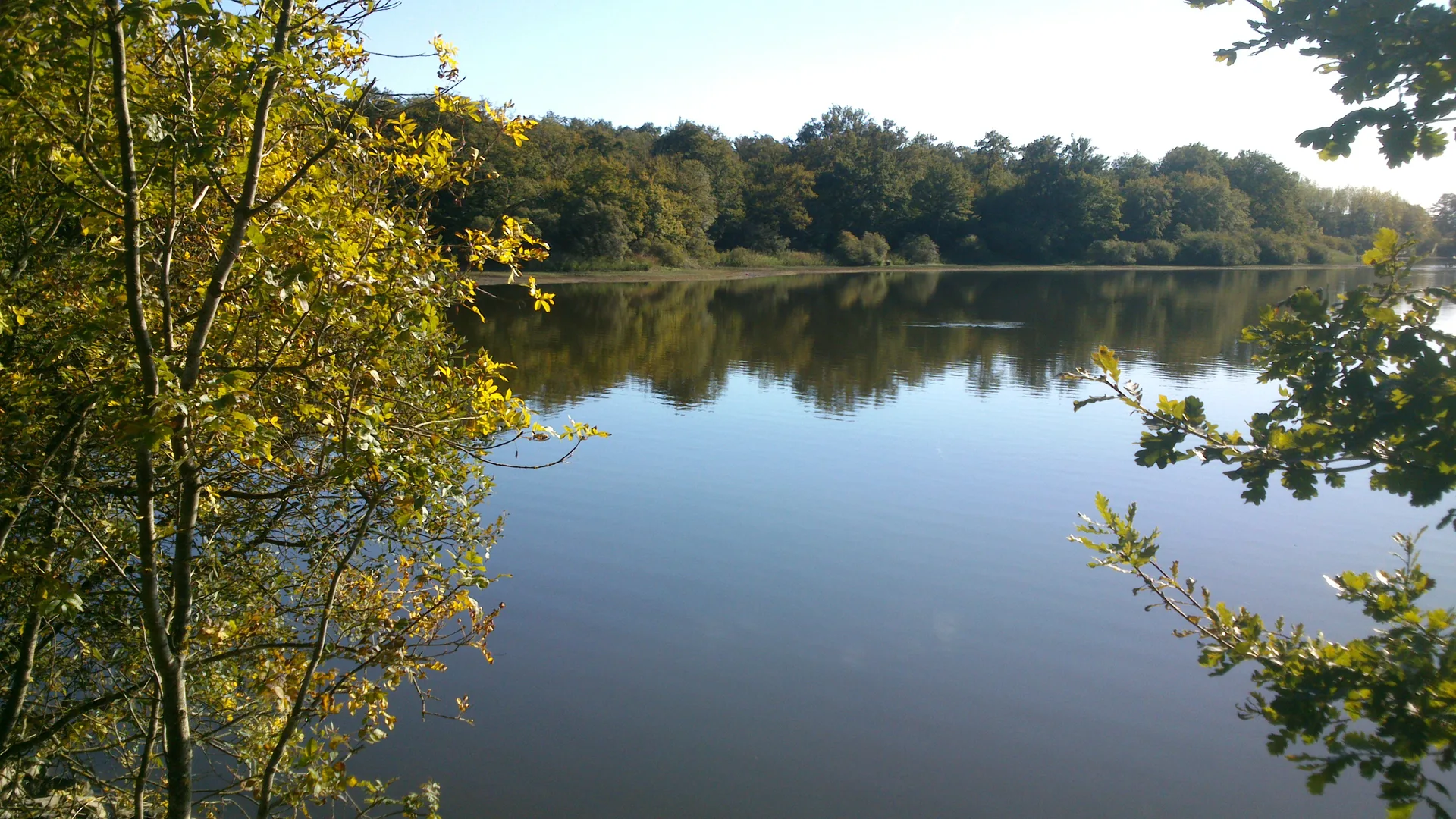 Lac de Peronne à Chanteloup-les-Bois — À 856 m du lac