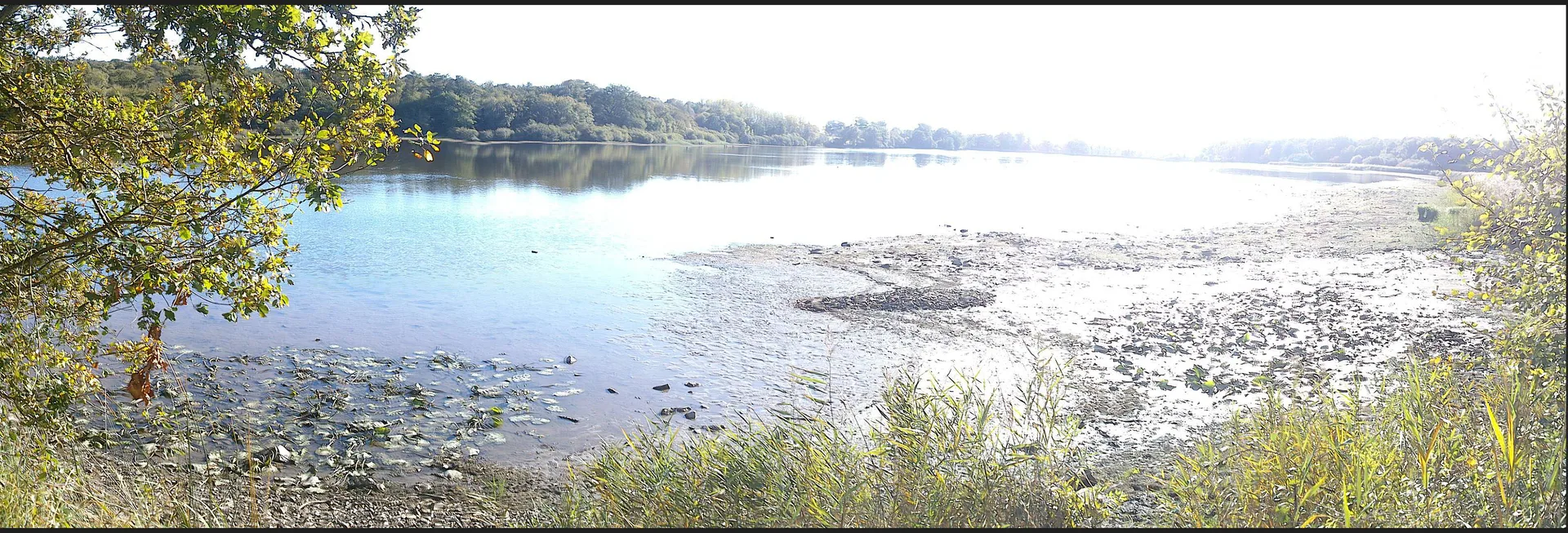 Lac de Peronne à Chanteloup-les-Bois — À 858 m du lac