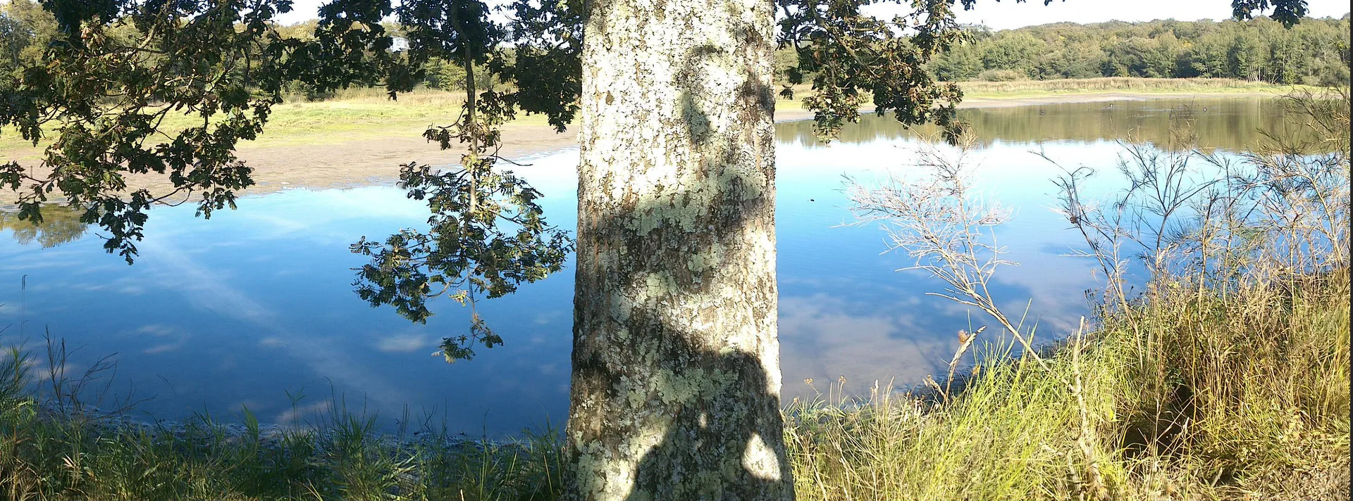 Lac de Peronne à Chanteloup-les-Bois — À 858 m du lac