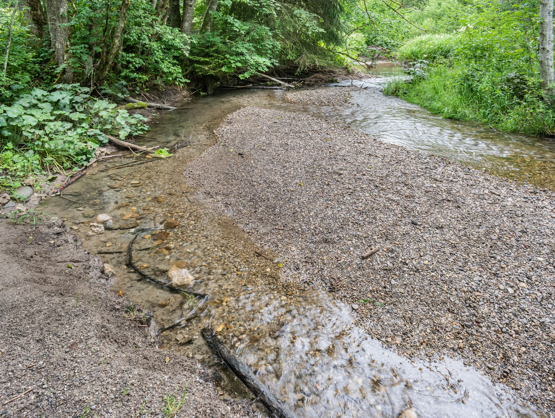 Lac de Petetoz  à Bellevaux — À 2,7 km du lac