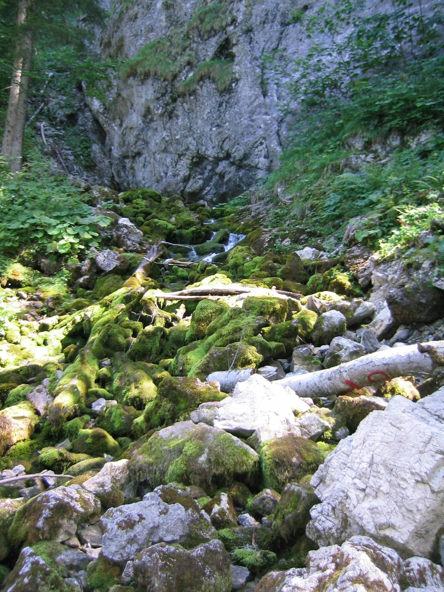 Lac de Petetoz  à Bellevaux — À 395 m du lac