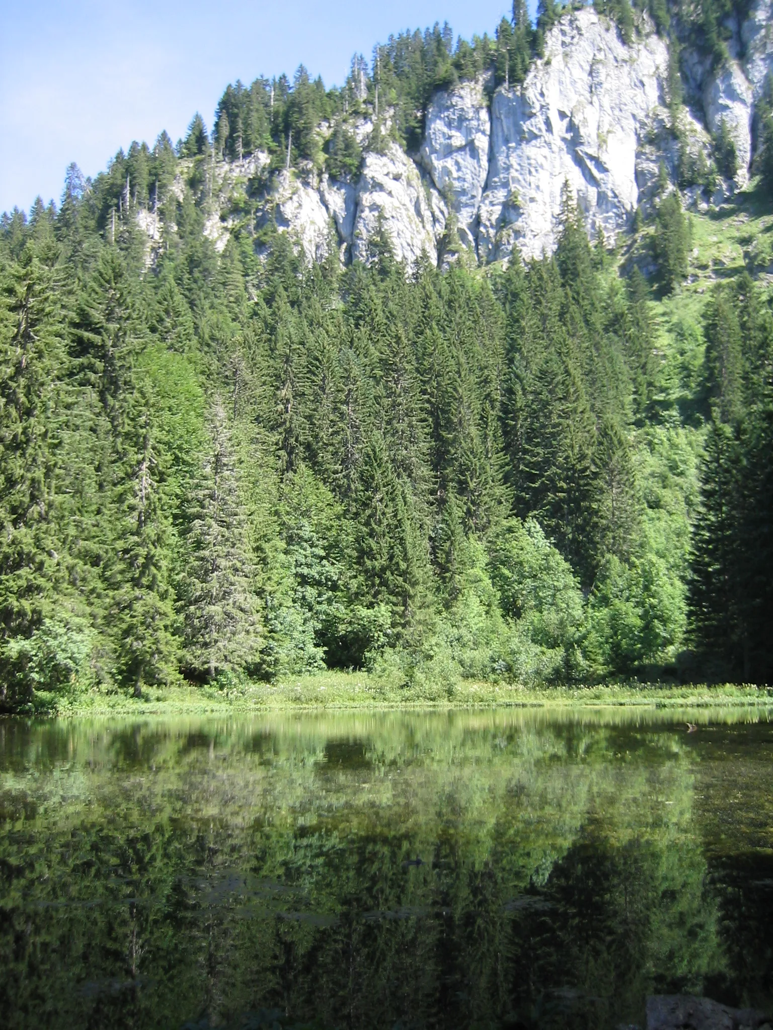 Lac de Petetoz  à Bellevaux — À 395 m du lac