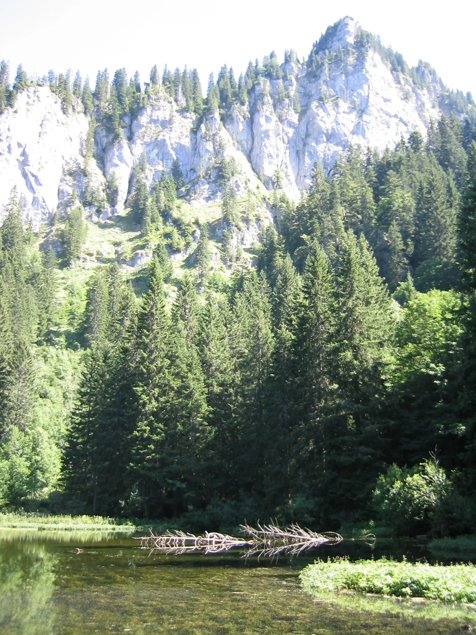 Lac de Petetoz  à Bellevaux — À 395 m du lac
