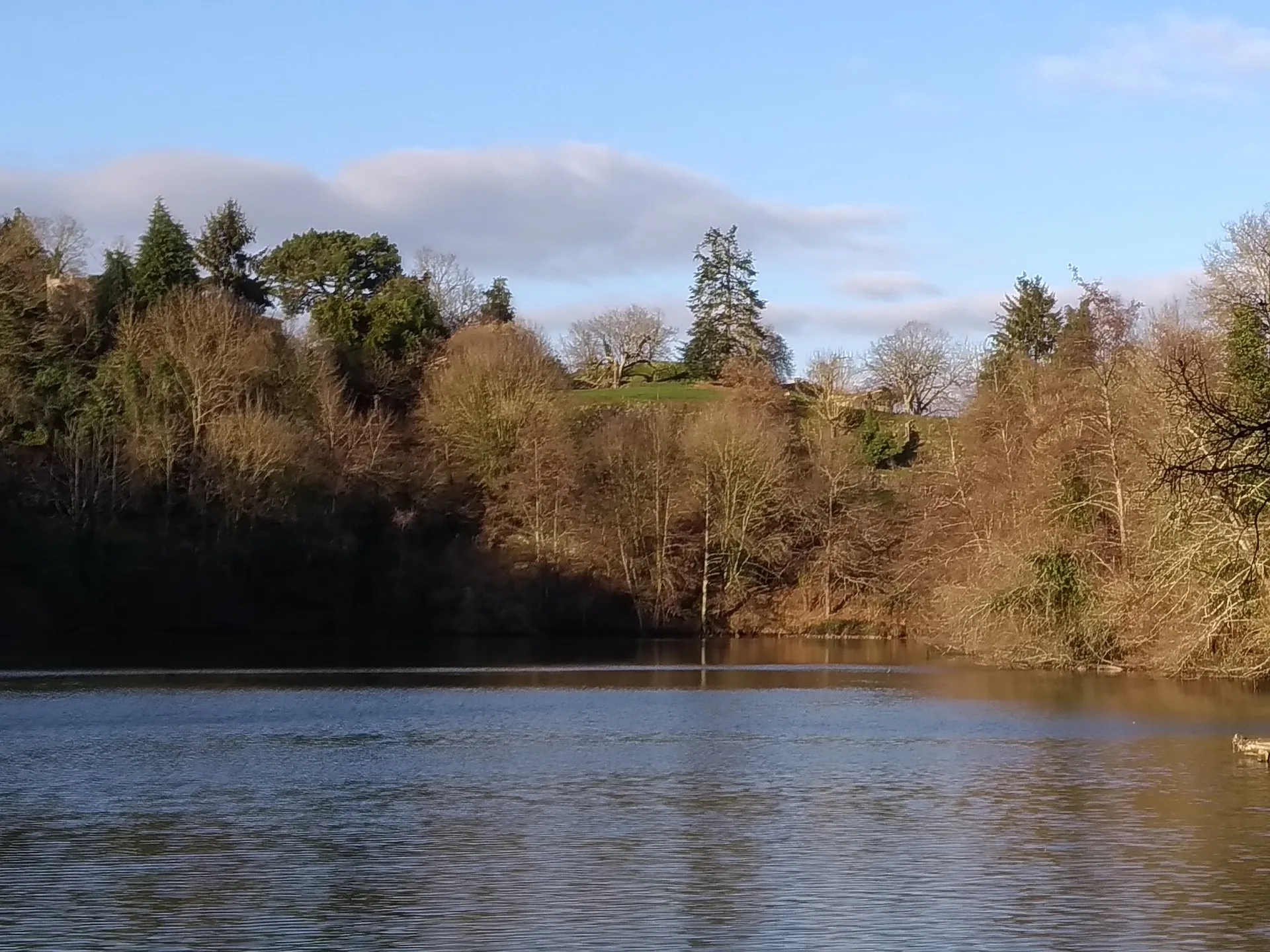 Lac de Pierre Brune à Vouvant — À 636 m du lac