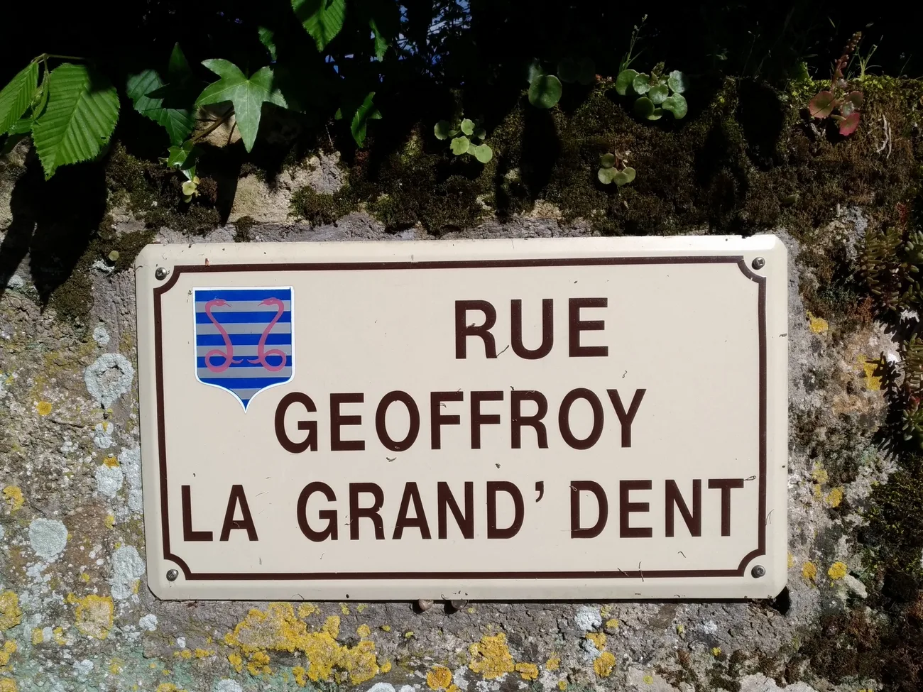 Lac de Pierre Brune à Vouvant — À 874 m du lac