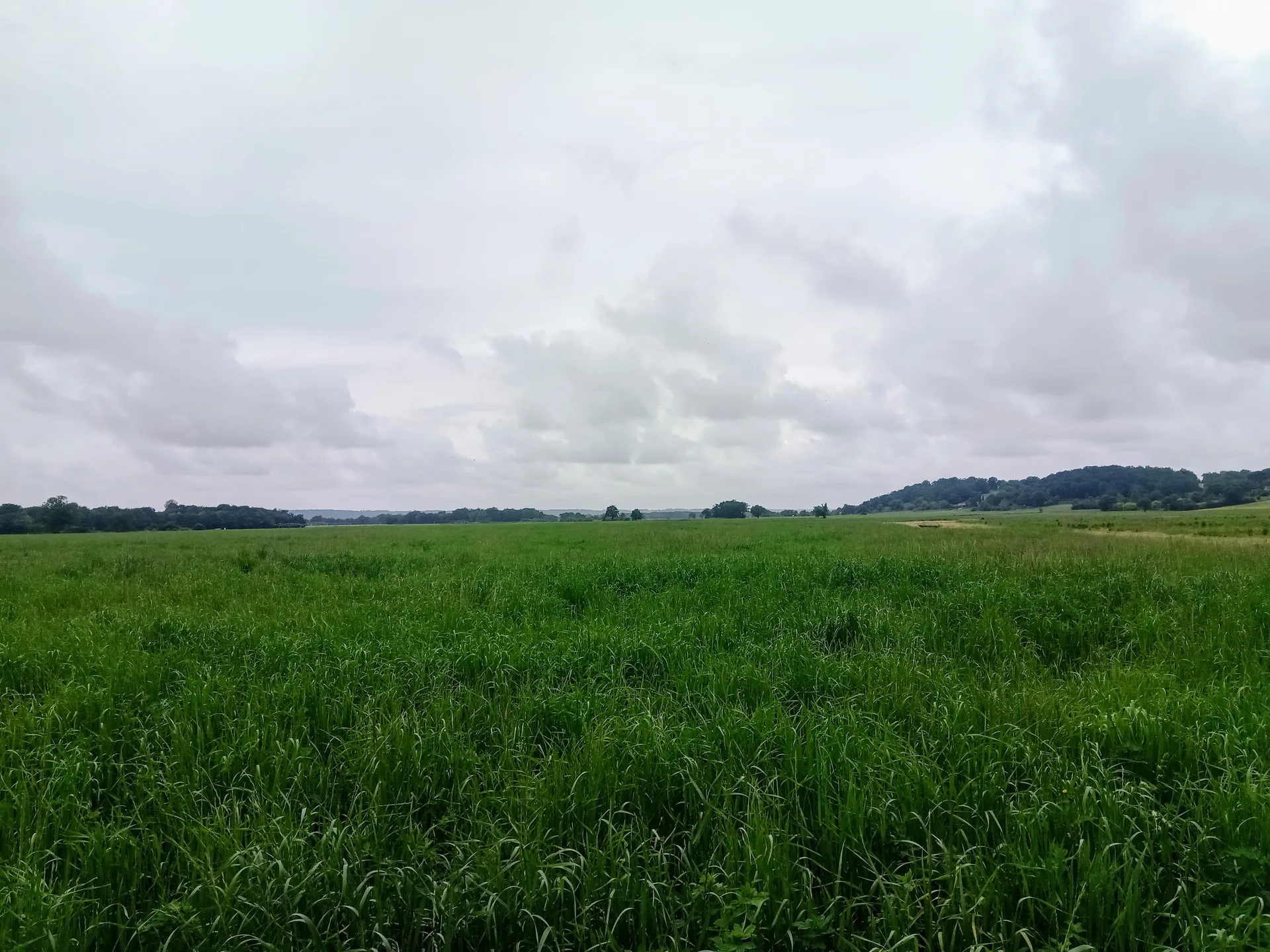 Lac de Pouy Lapujolle à Lelin-Lapujolle — À 2,1 km du lac