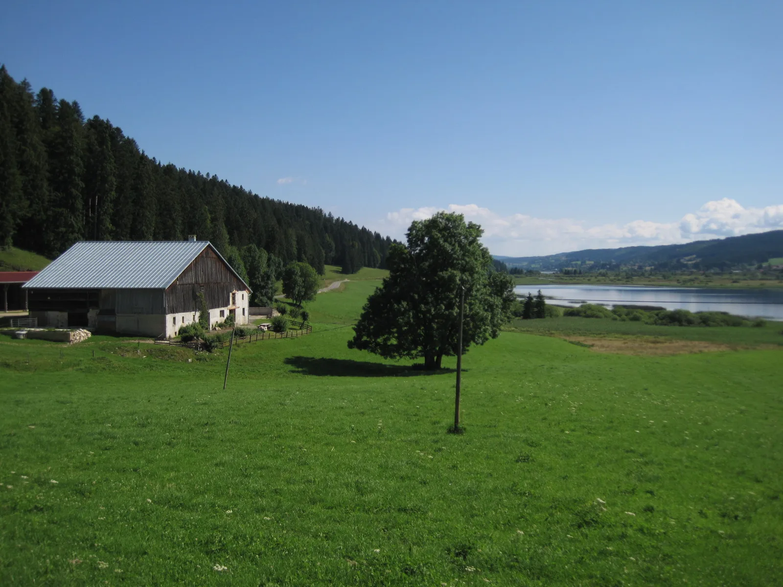 Lac de Remoray à Labergement-Sainte-Marie — À 995 m du lac