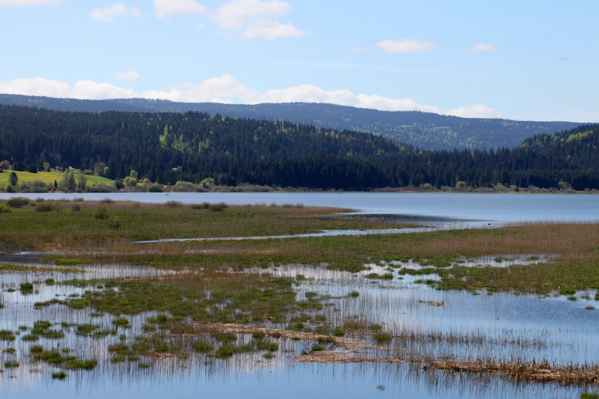 Lac de Remoray à Labergement-Sainte-Marie — À 1,0 km du lac