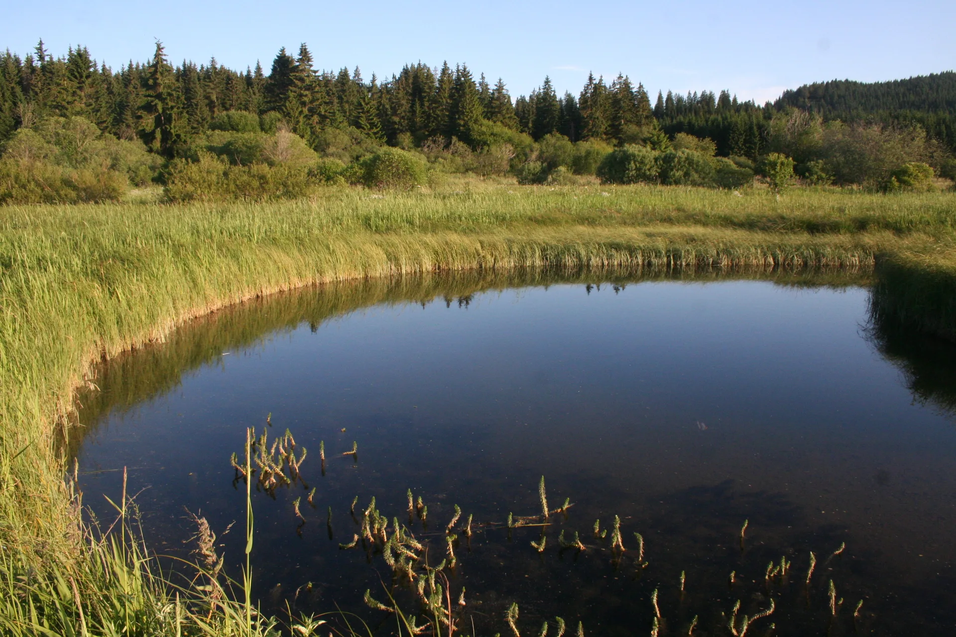 Lac de Remoray à Labergement-Sainte-Marie — À 1,1 km du lac