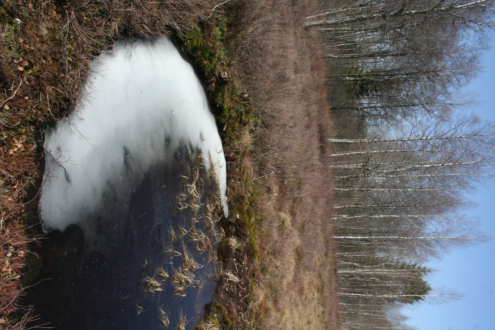 Lac de Remoray à Labergement-Sainte-Marie — À 1,1 km du lac