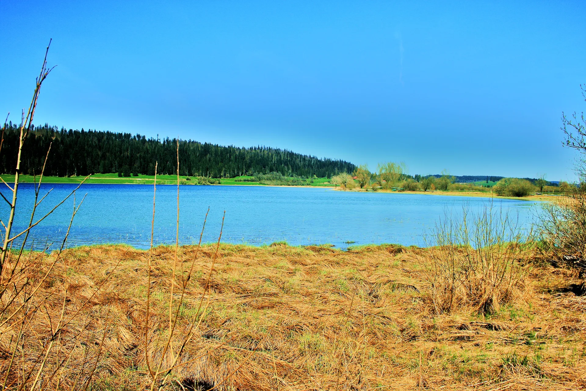 Lac de Remoray à Labergement-Sainte-Marie — À 334 m du lac