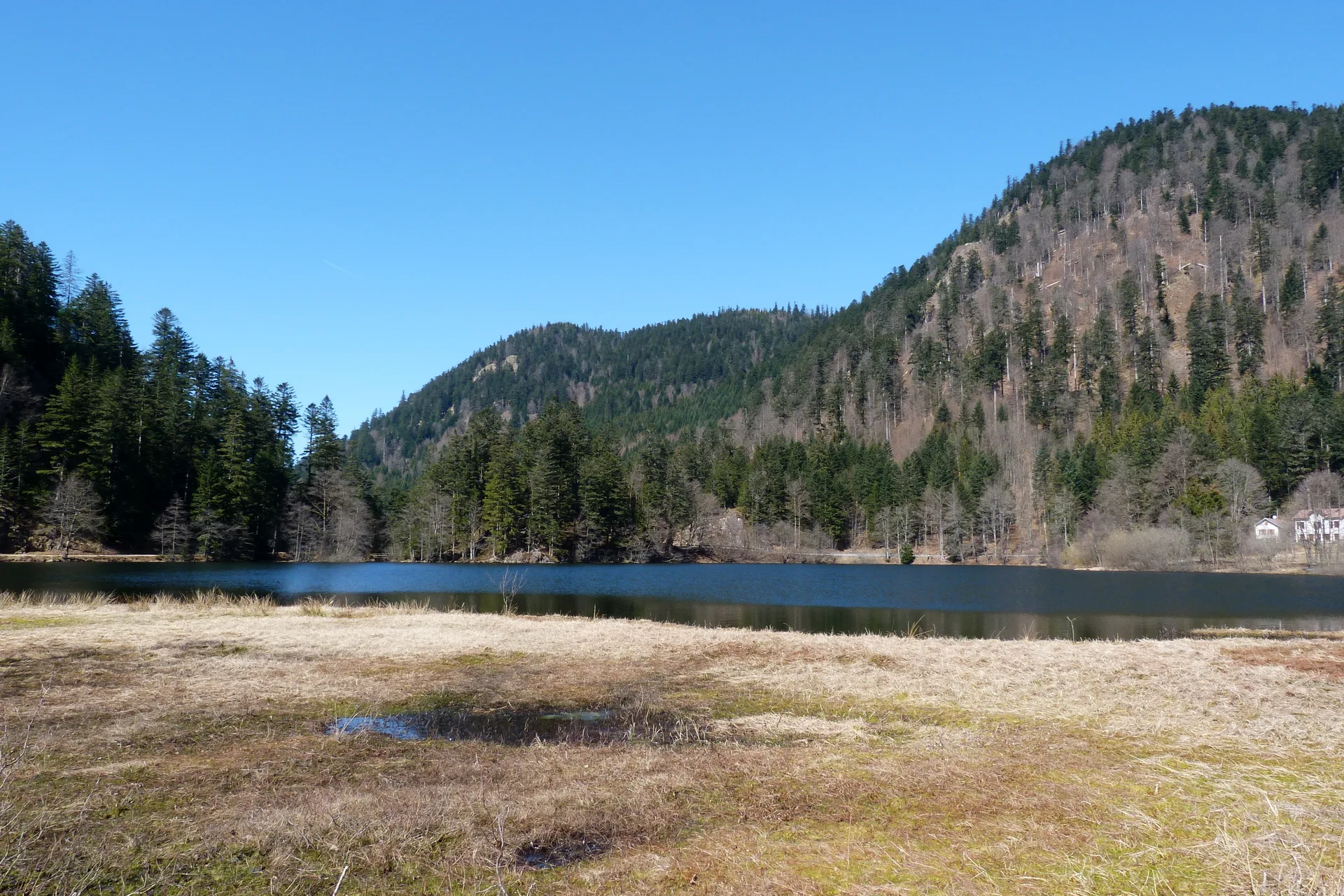 Lac de Retournemer à Xonrupt-Longemer — À 316 m du lac