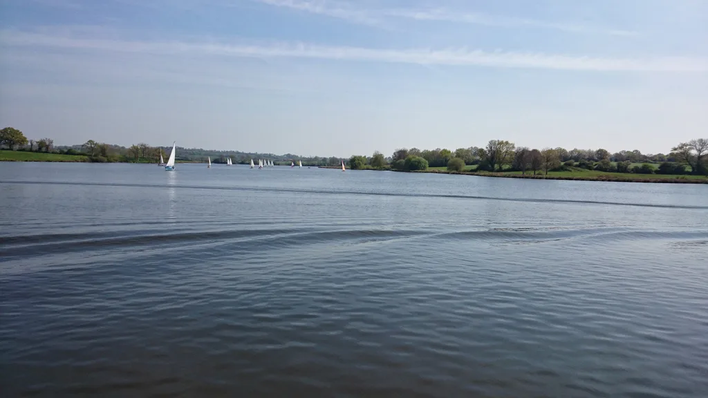 Lac de Ribou, Cholet