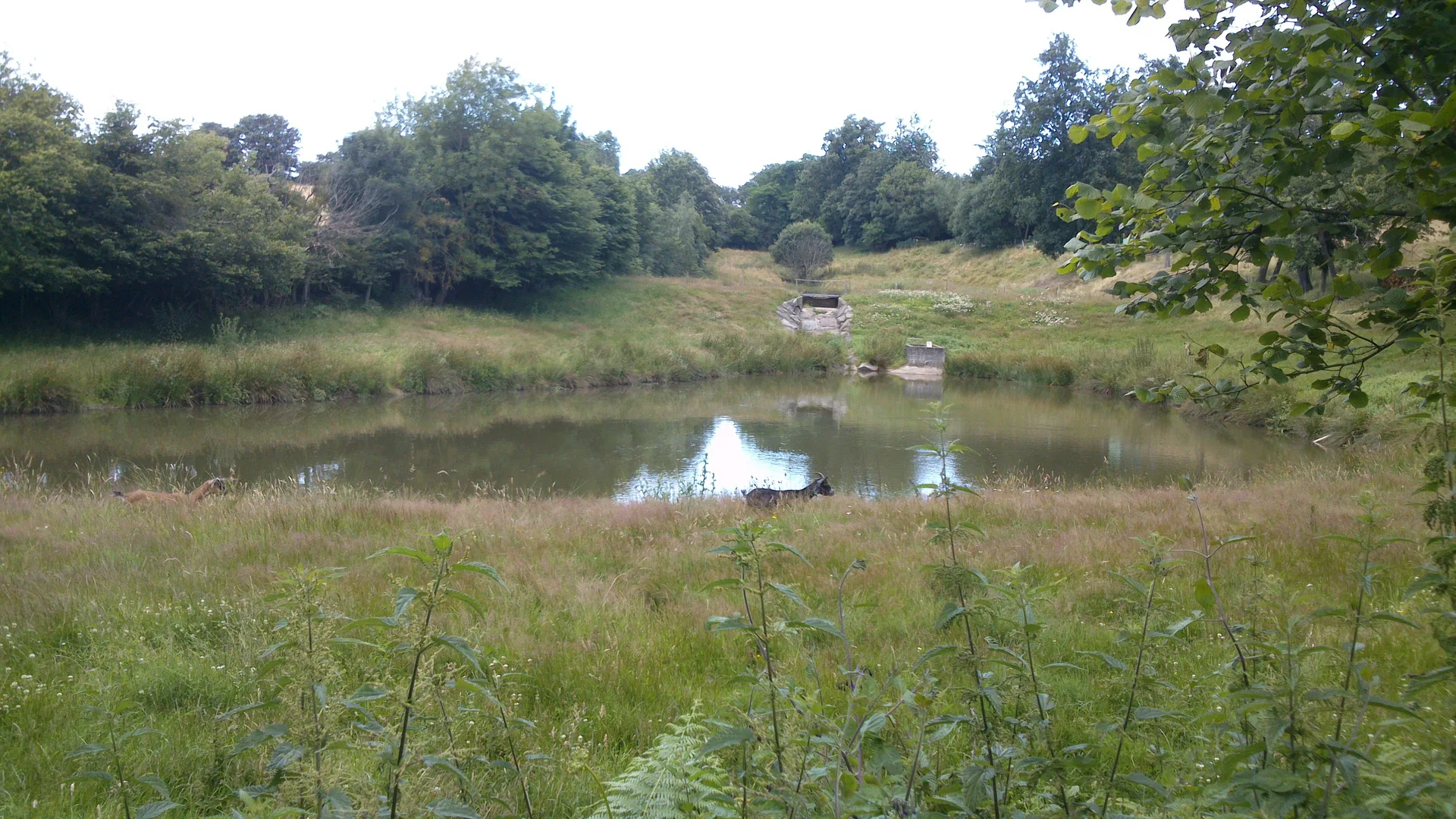 Lac de Ribou à Cholet — À 1,3 km du lac