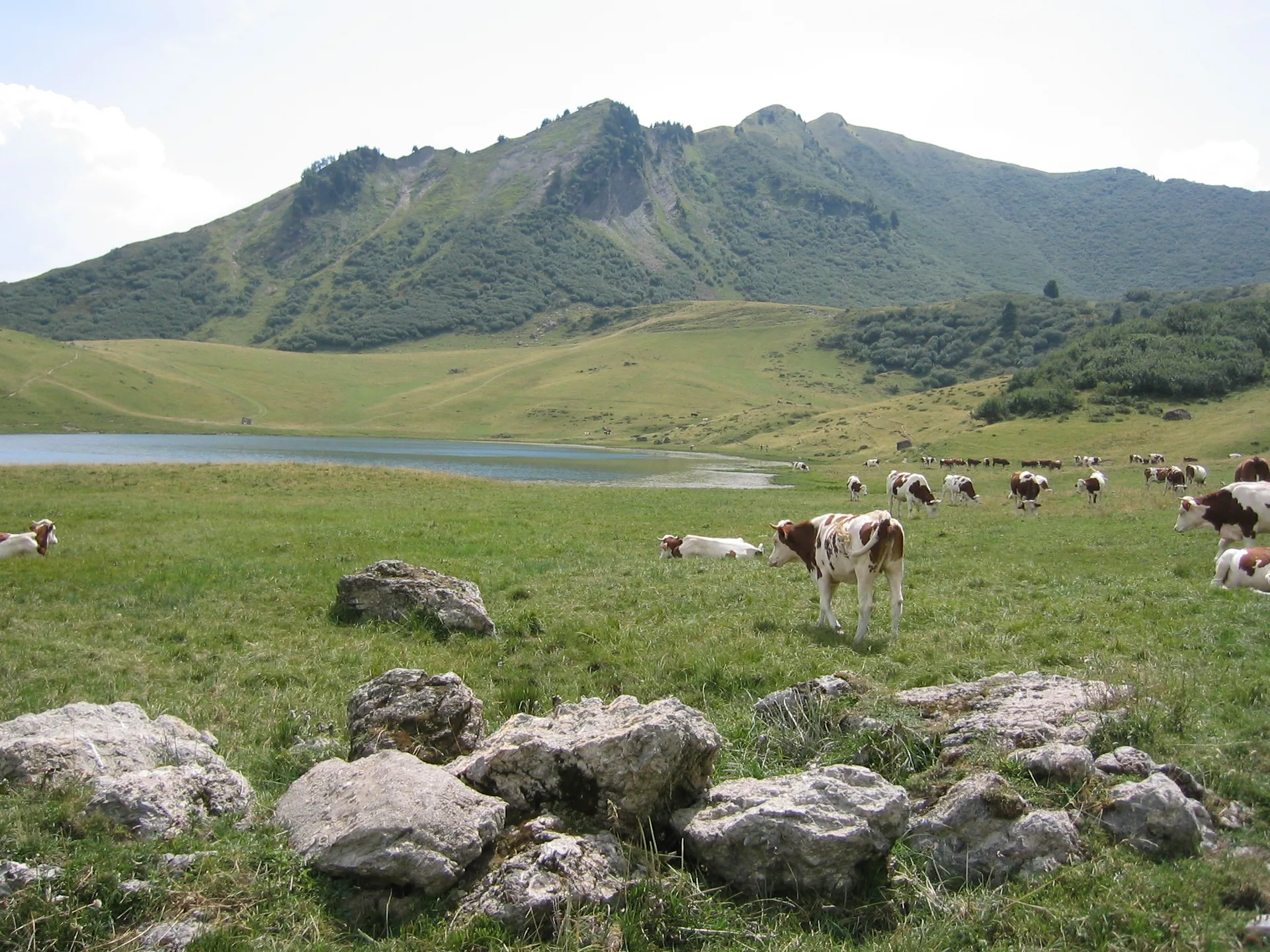 Lac de Roy à Taninges — Sur le lac