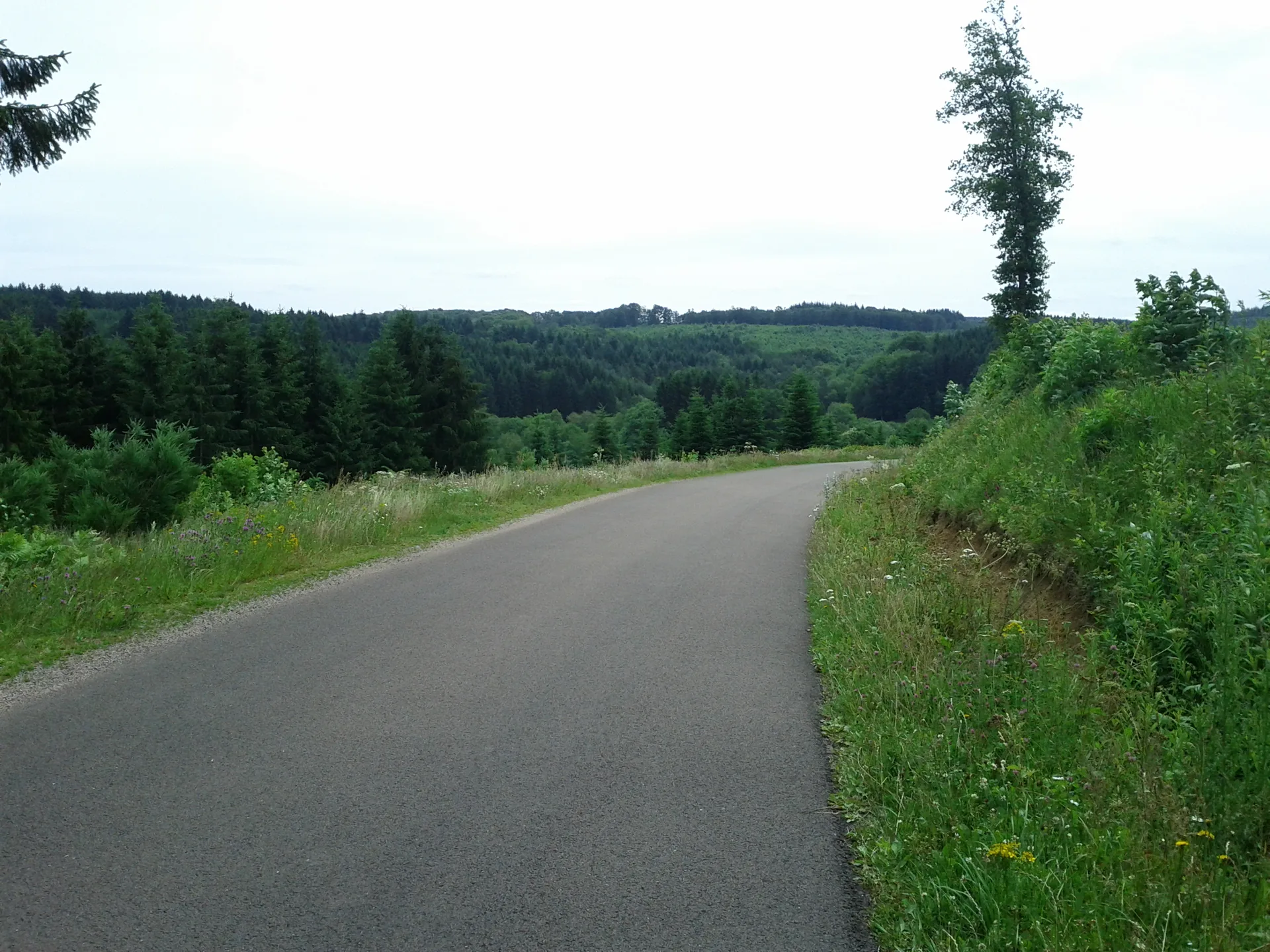 Lac de Saint-Agnan à Saint-Agnan-en-Morvan — À 2,8 km du lac