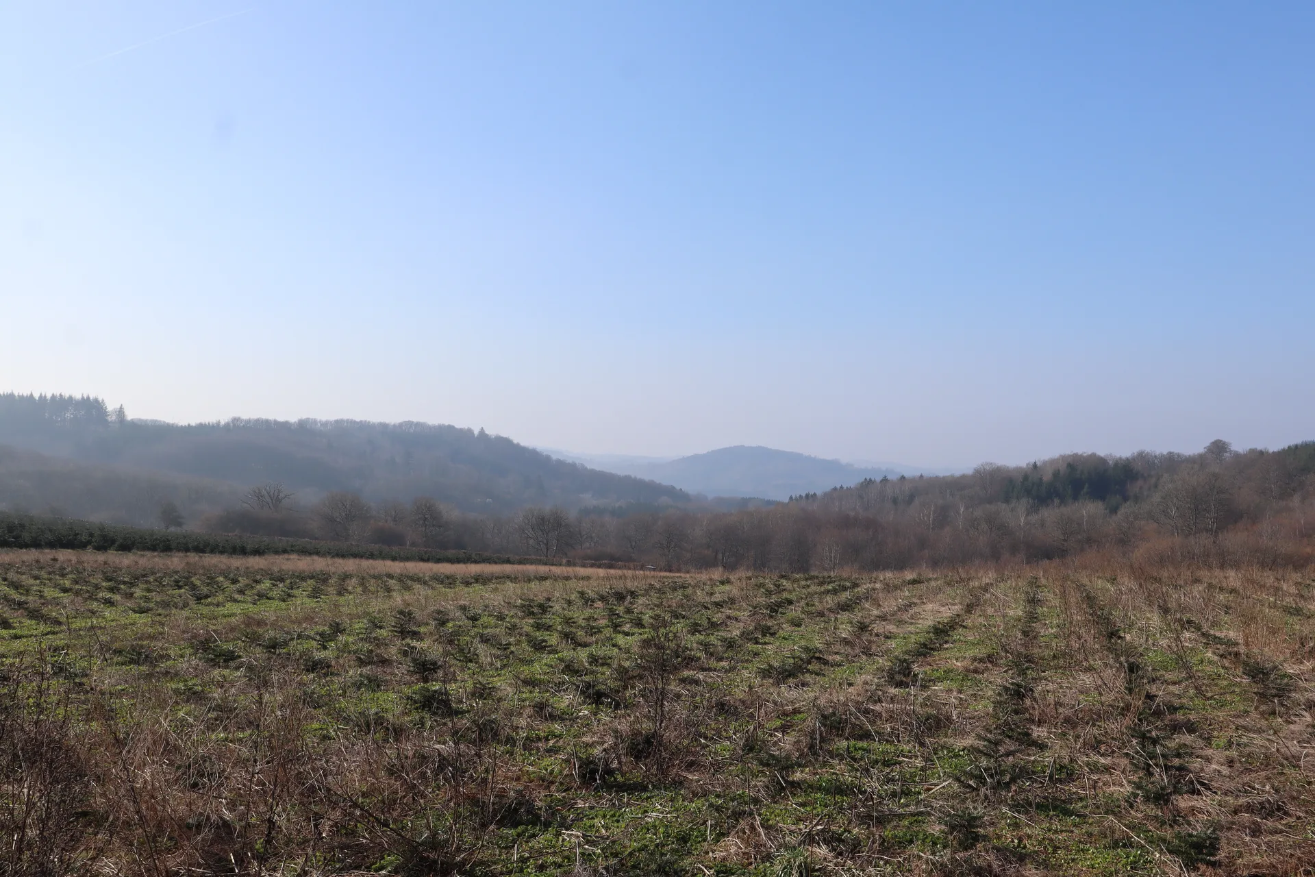 Lac de Saint-Agnan à Saint-Agnan-en-Morvan — À 3,2 km du lac