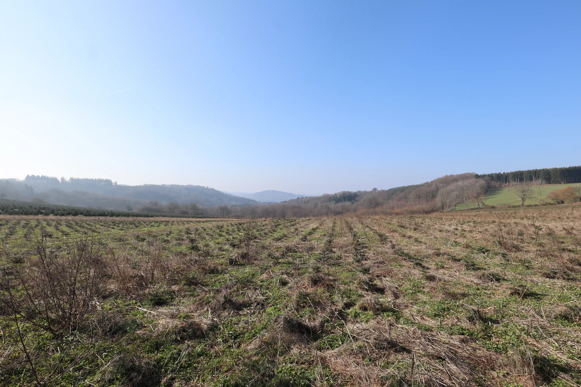 Lac de Saint-Agnan à Saint-Agnan-en-Morvan — À 3,2 km du lac
