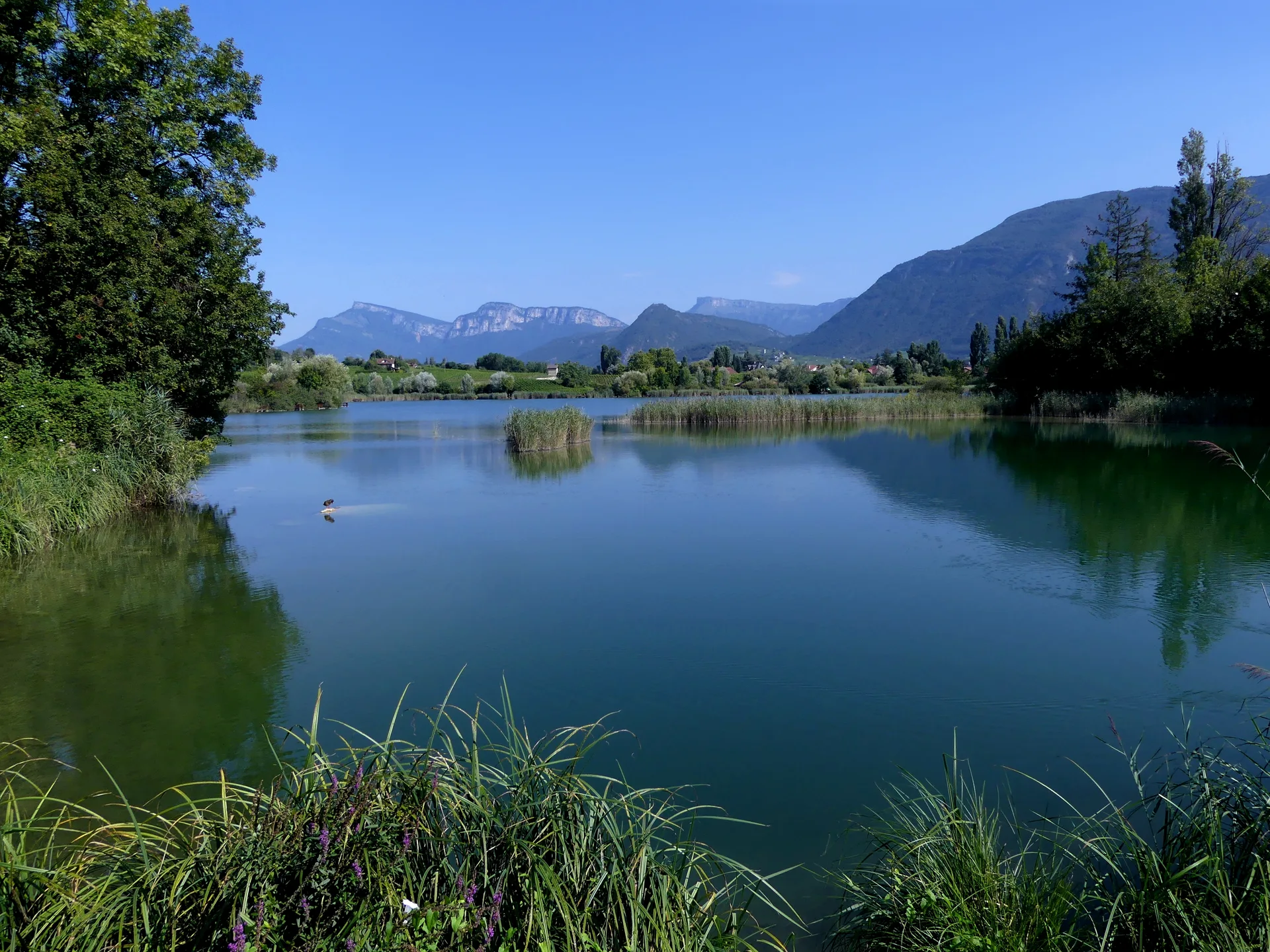 Lac de Saint-André à Porte-de-Savoie — À 217 m du lac