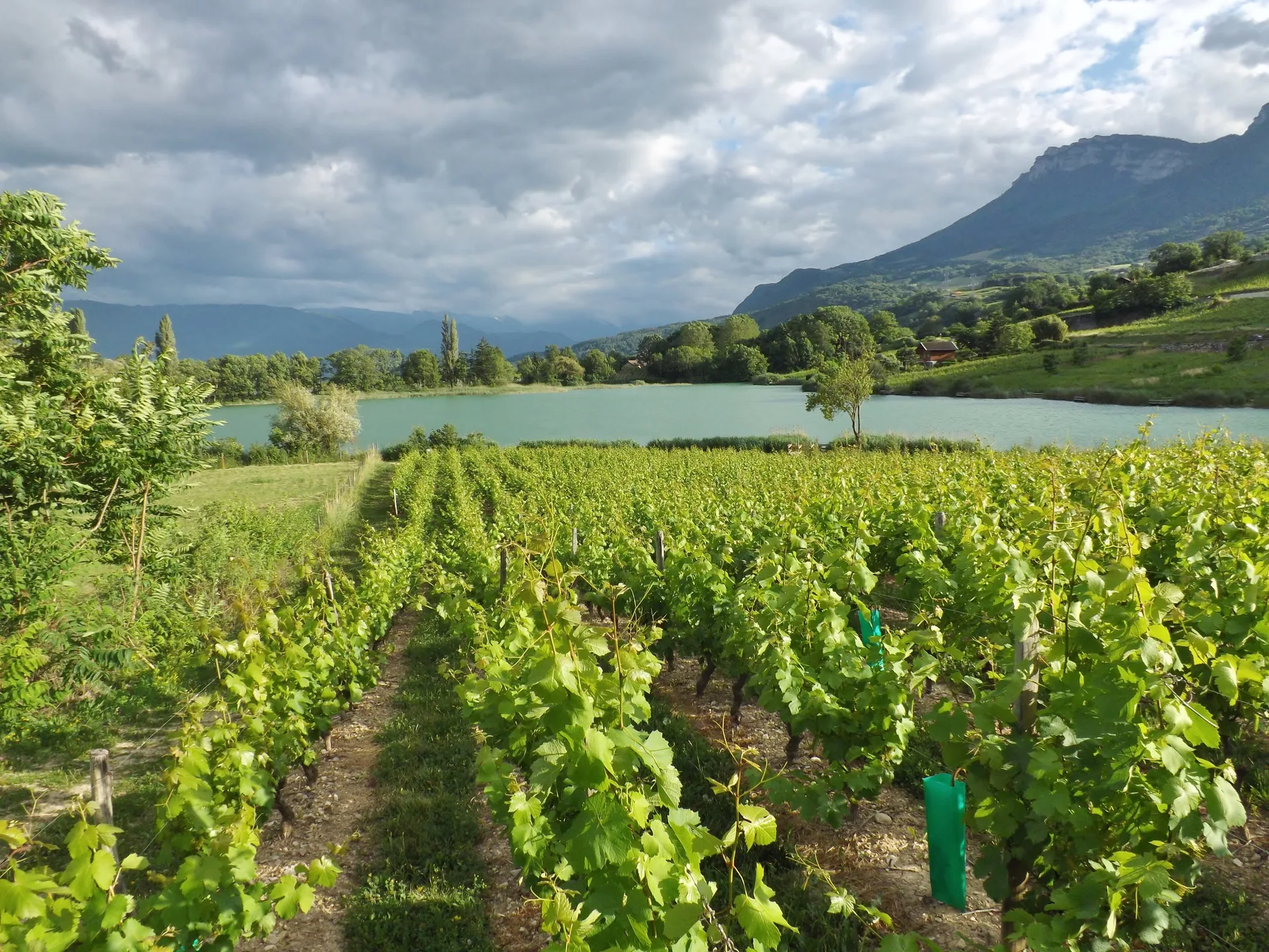 Lac de Saint-André à Porte-de-Savoie — À 228 m du lac