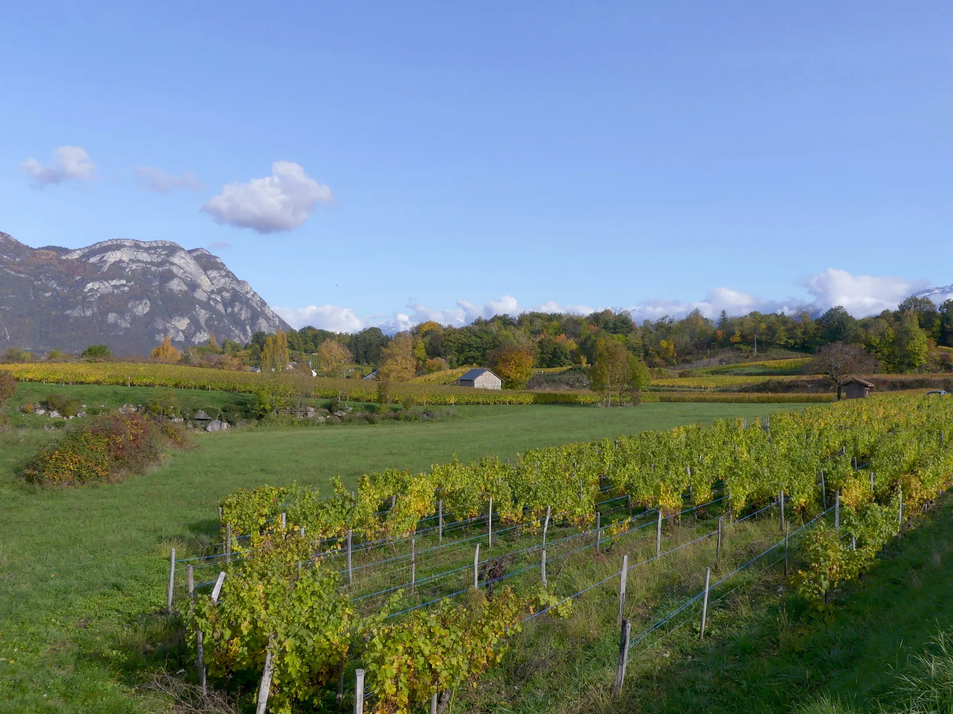 Lac de Saint-André à Porte-de-Savoie — À 1,6 km du lac