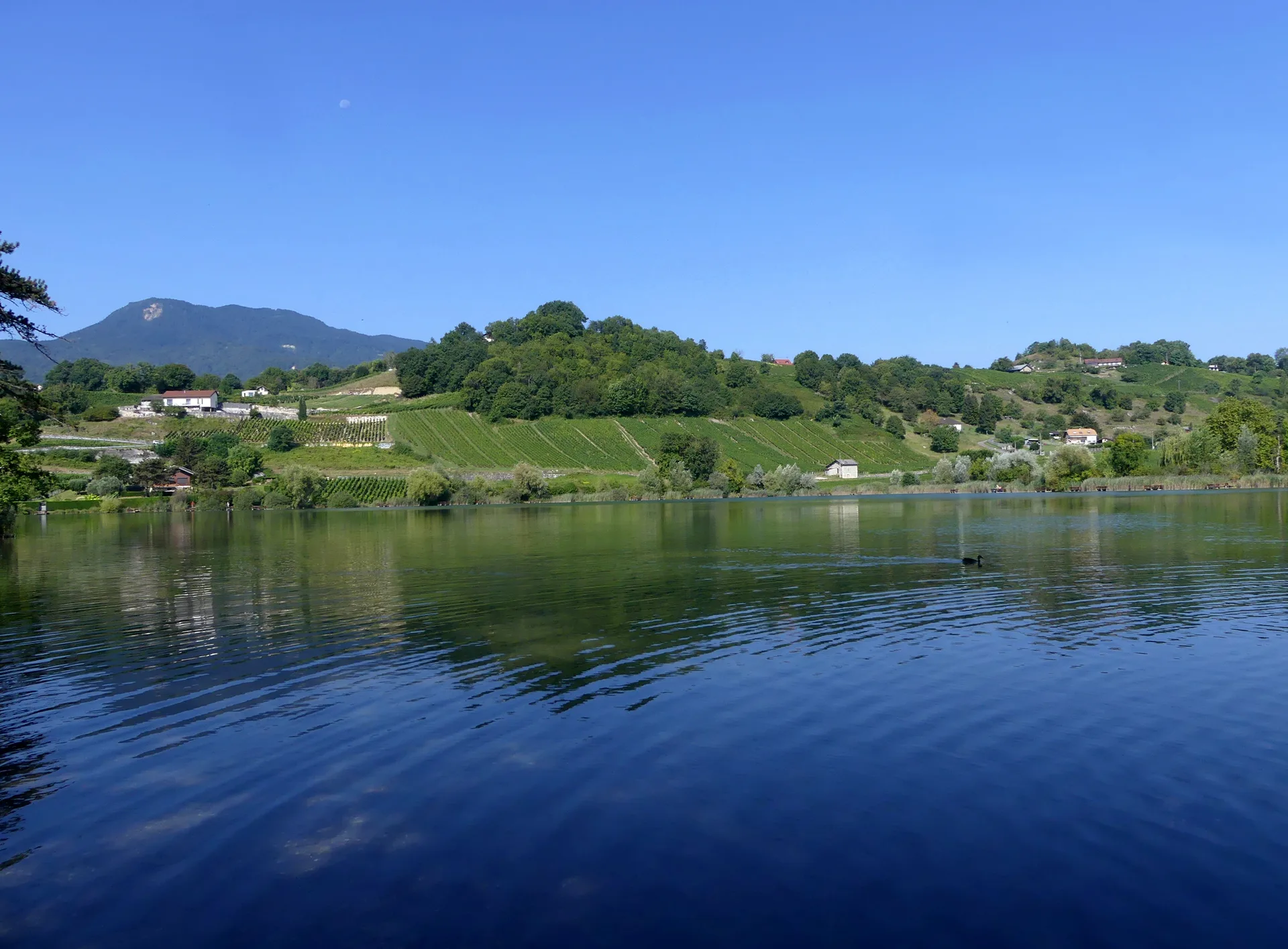 Lac de Saint-André à Porte-de-Savoie — Sur le lac