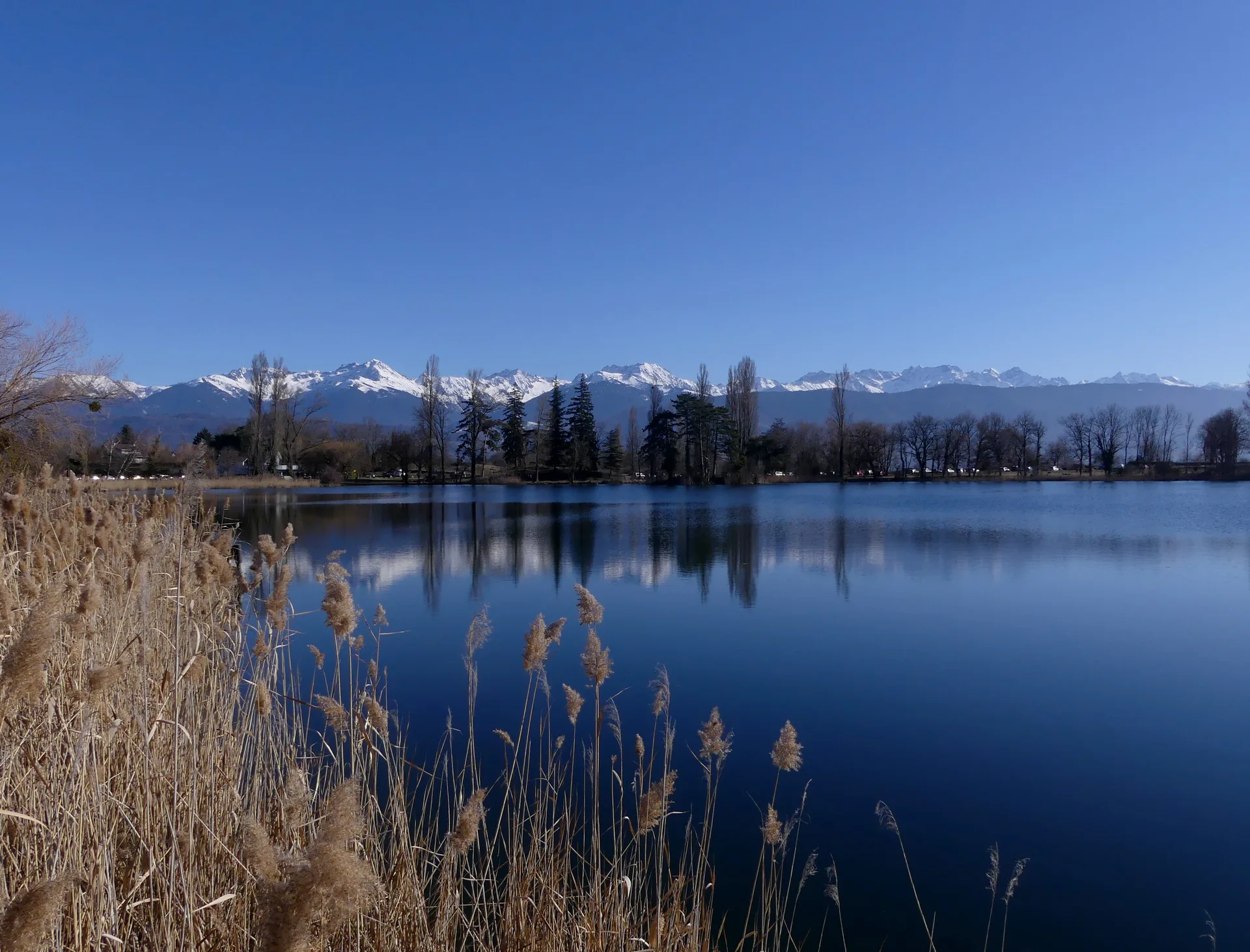 Lac de Saint-André à Porte-de-Savoie — À 203 m du lac