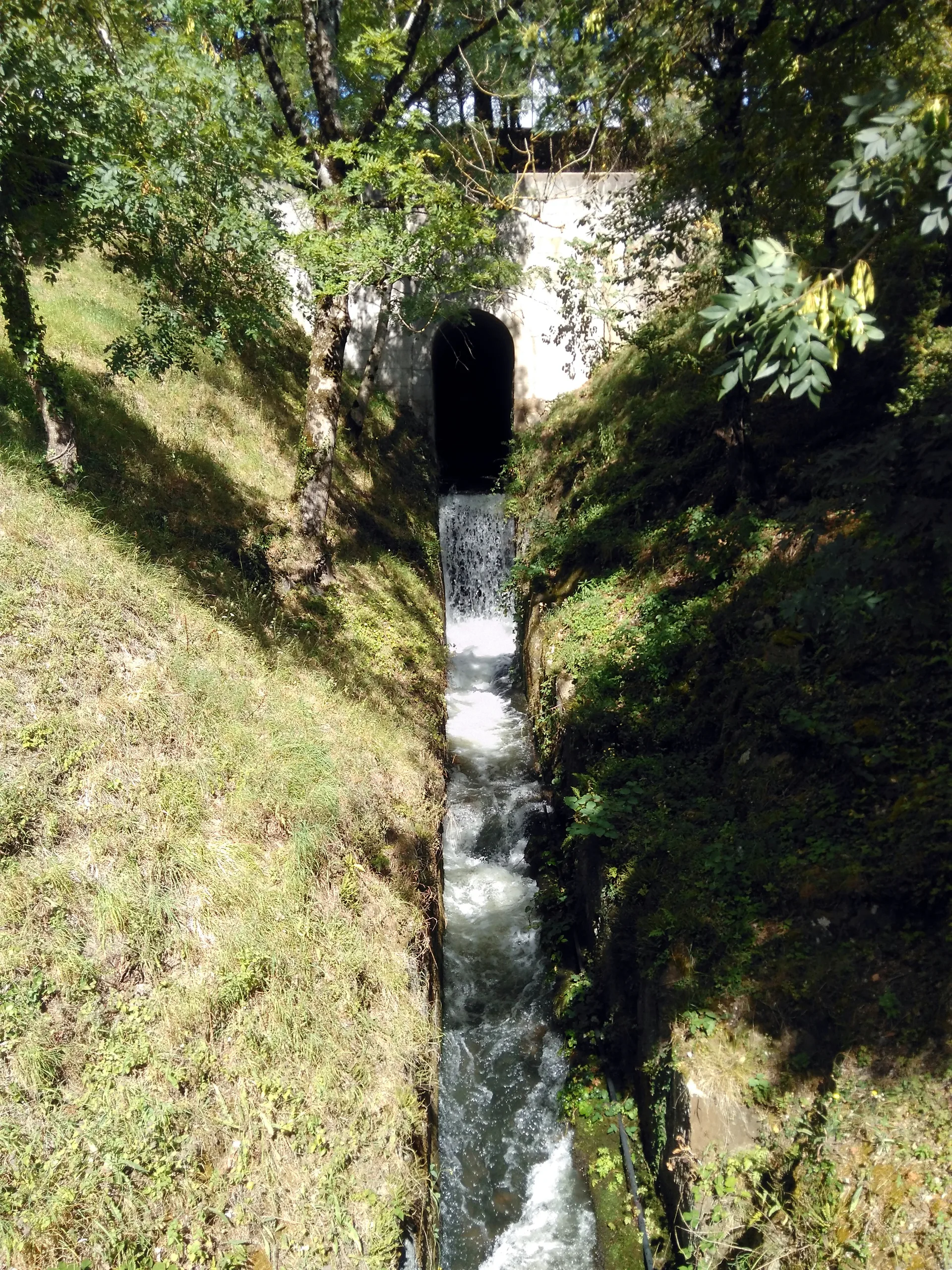 Lac de Saint-Ferréol à Revel — À 350 m du lac