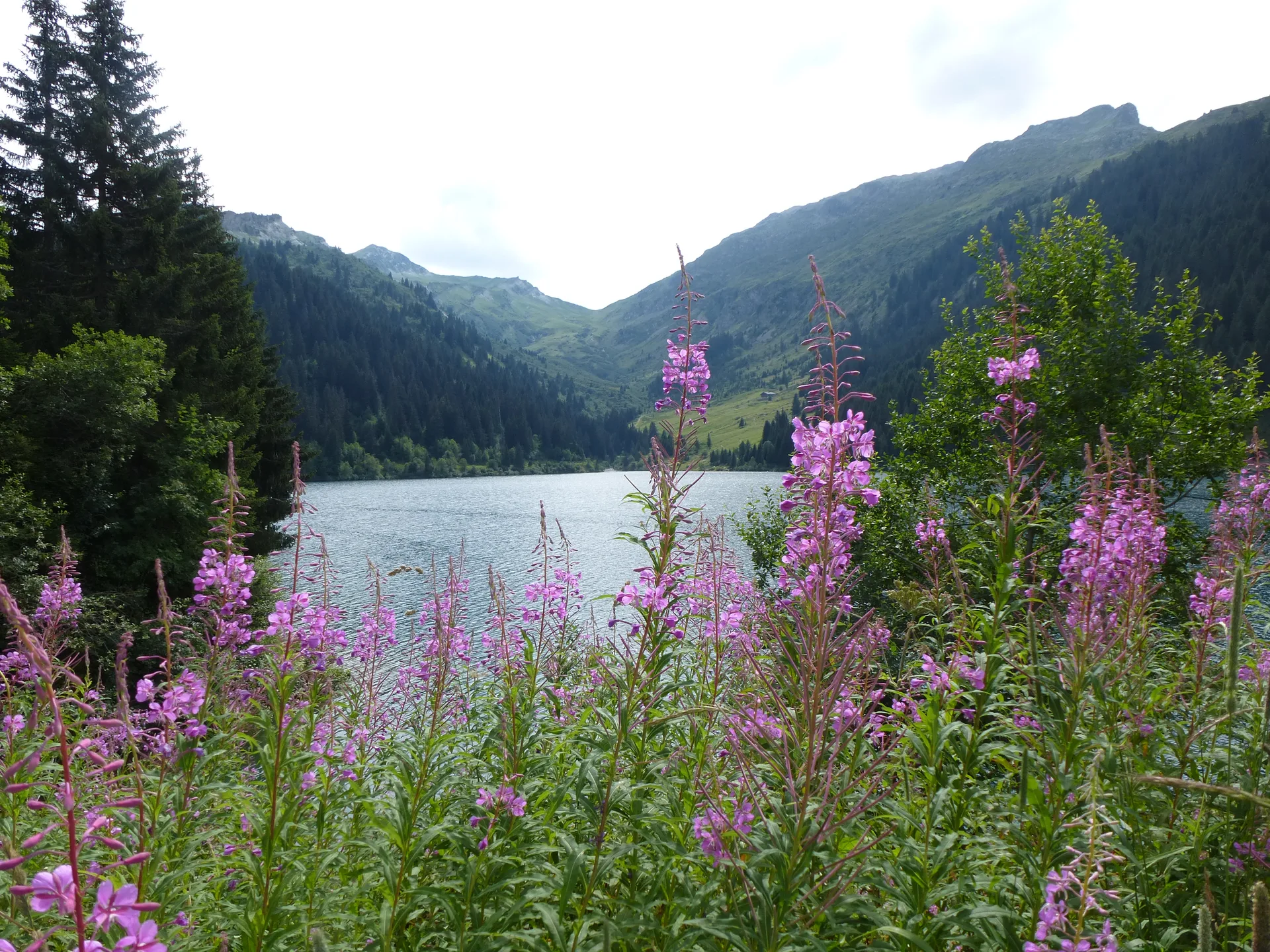 Lac de Saint Guerin à Beaufort — À 648 m du lac