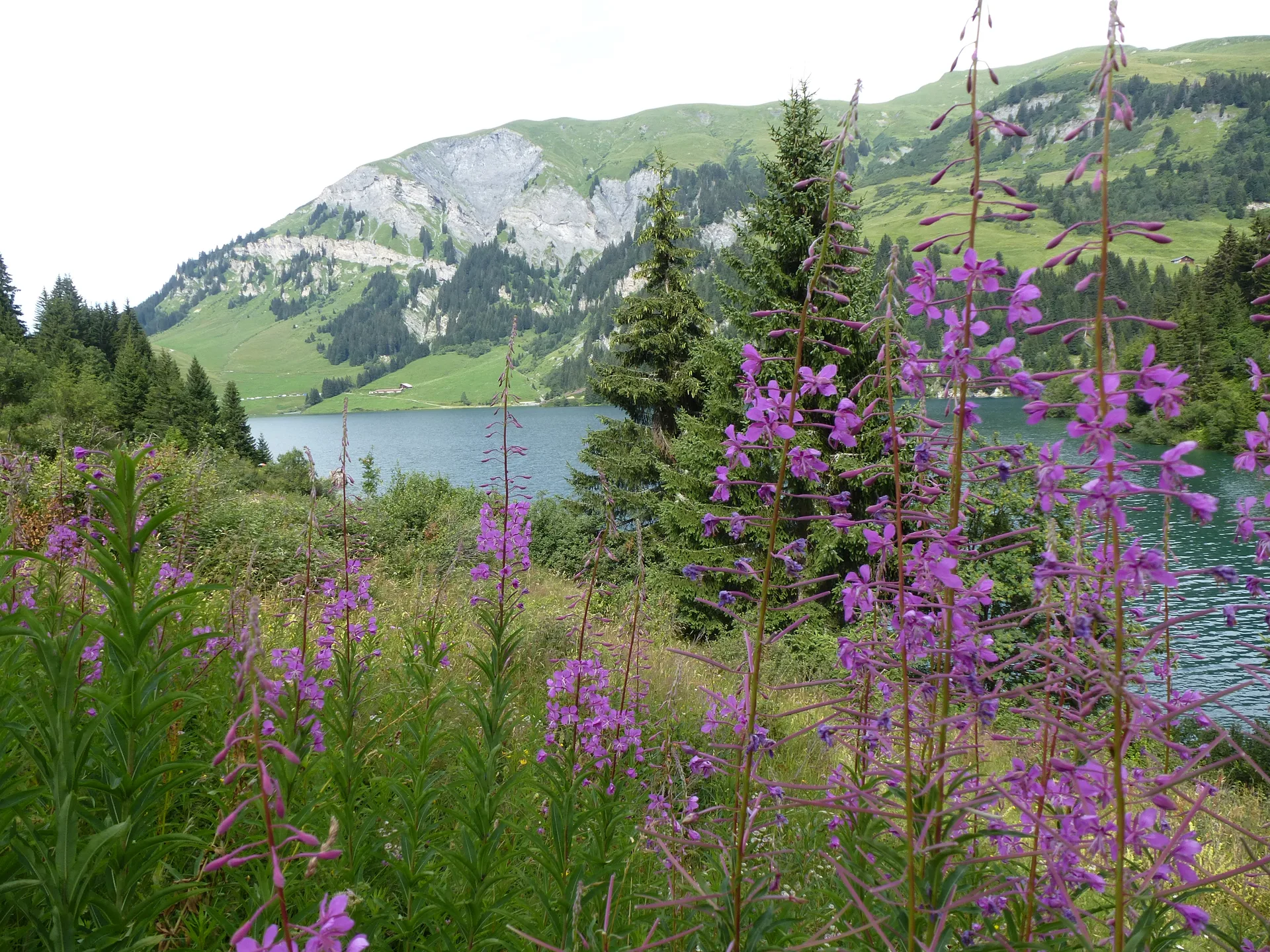 Lac de Saint Guerin à Beaufort — À 1,0 km du lac