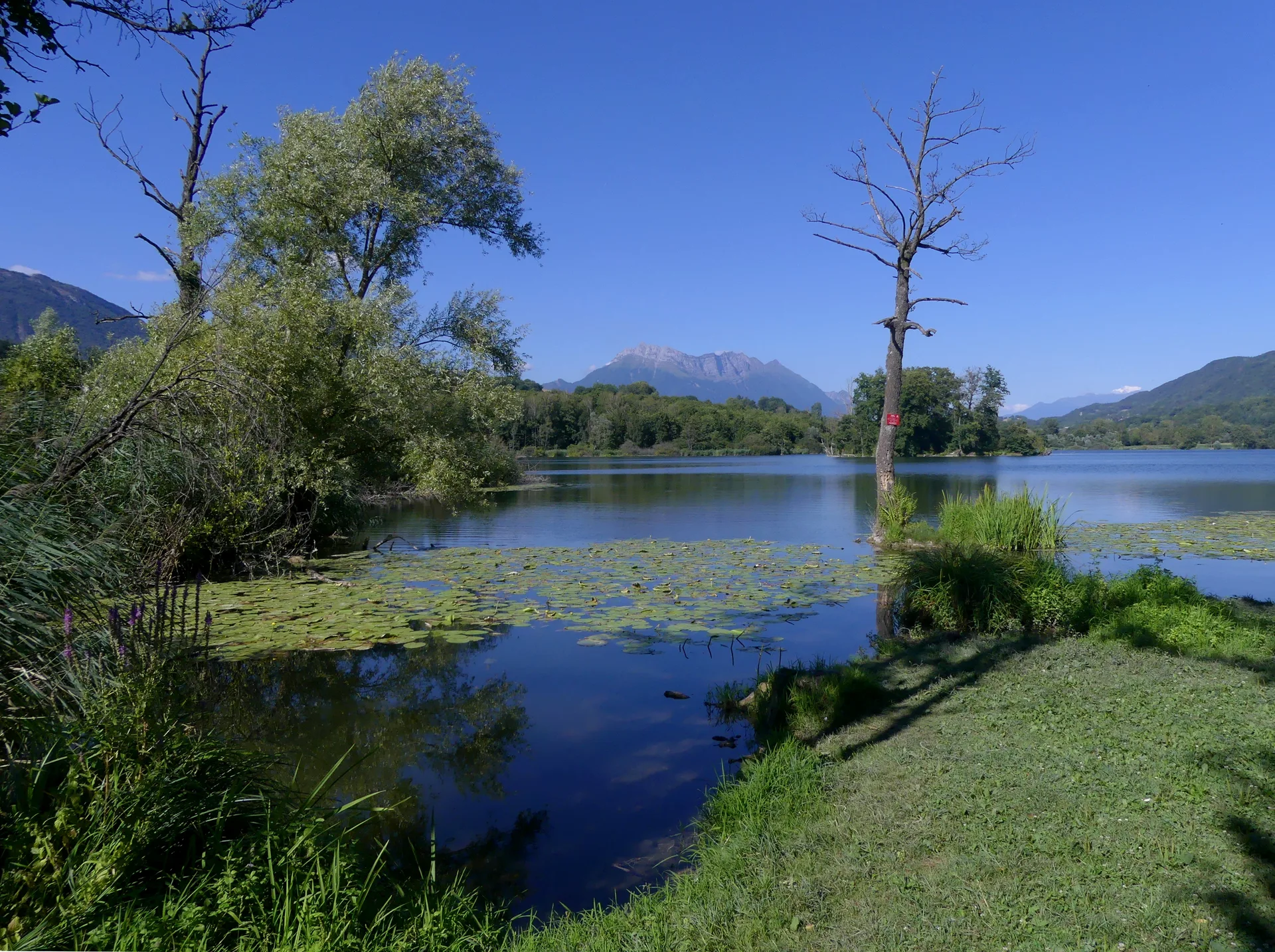 Lac de Saint Helene à Sainte-Hélène-du-Lac — À 433 m du lac